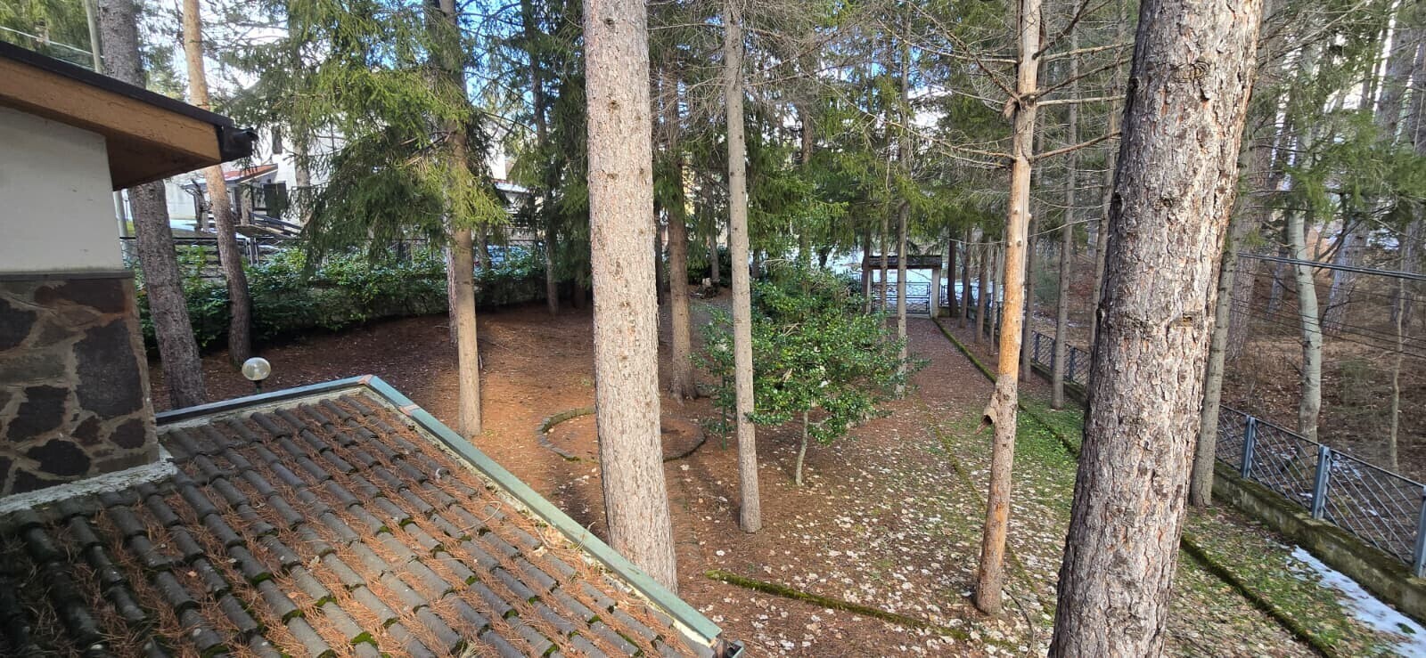 WhatsApp Image 2026-01-18 at 22.14.13 (2)