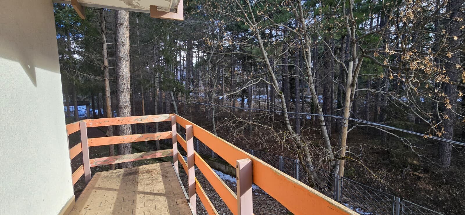 WhatsApp Image 2026-01-18 at 22.14.14