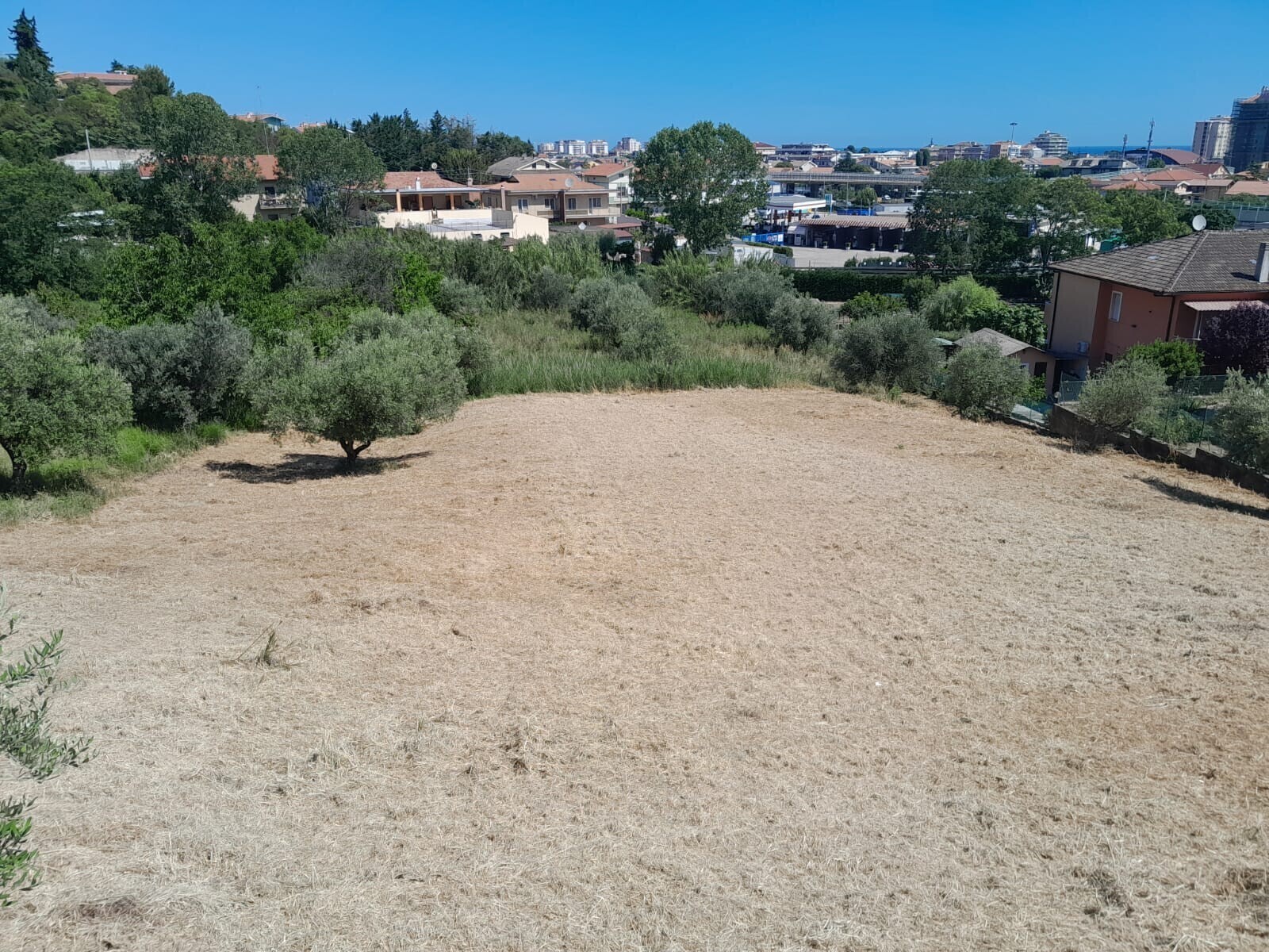 WhatsApp Image 2024-06-06 at 08.36.18 (2)