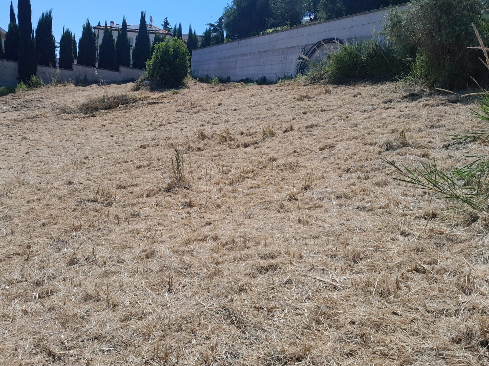 WhatsApp Image 2024-06-06 at 08.36.18