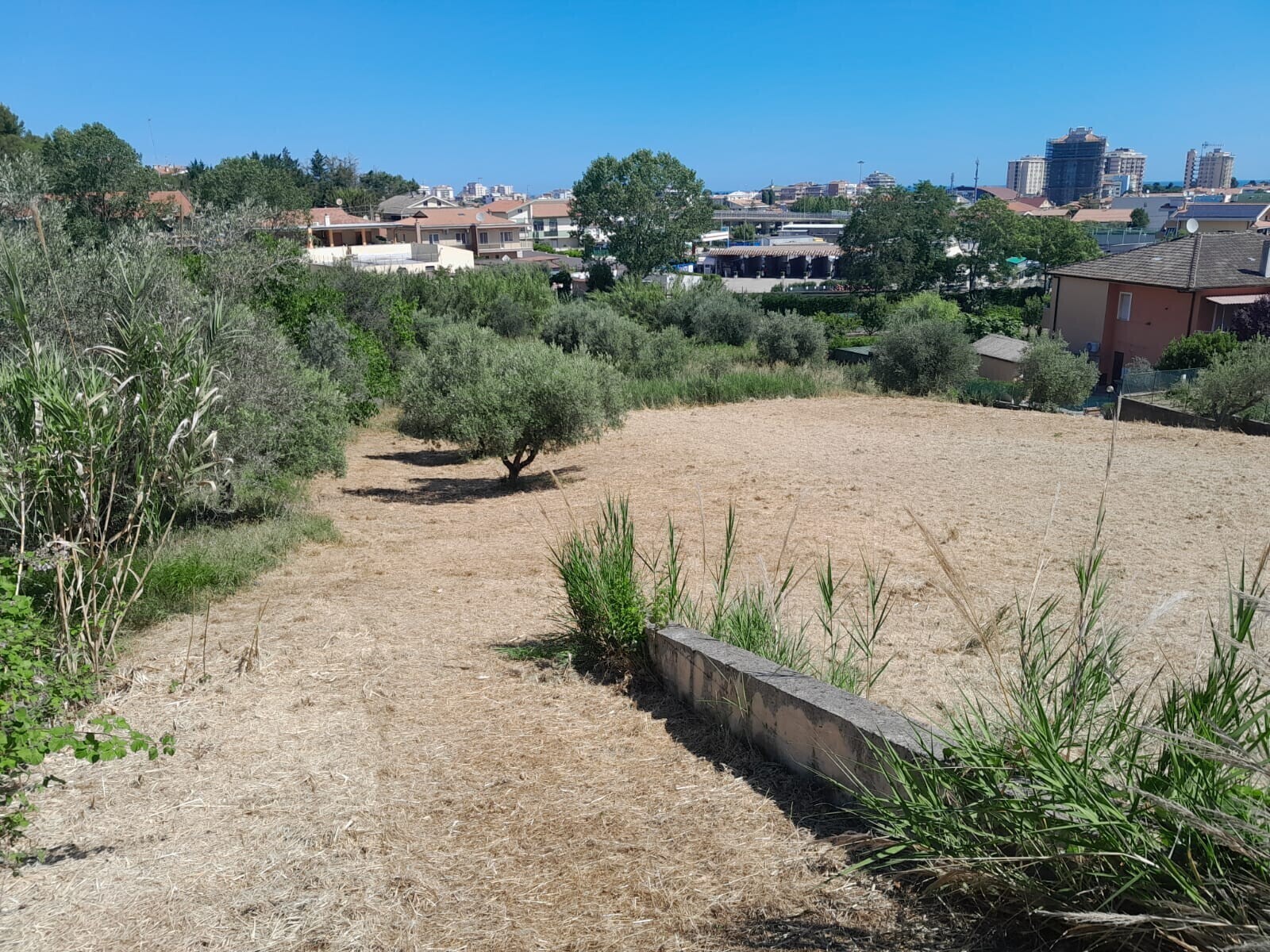 WhatsApp Image 2024-06-06 at 08.36.17 (1)