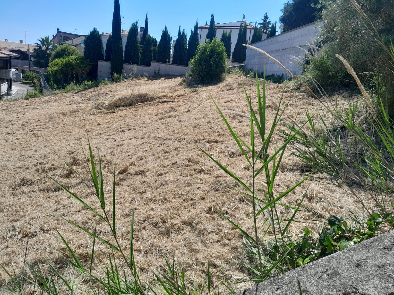 WhatsApp Image 2024-06-06 at 08.36.17