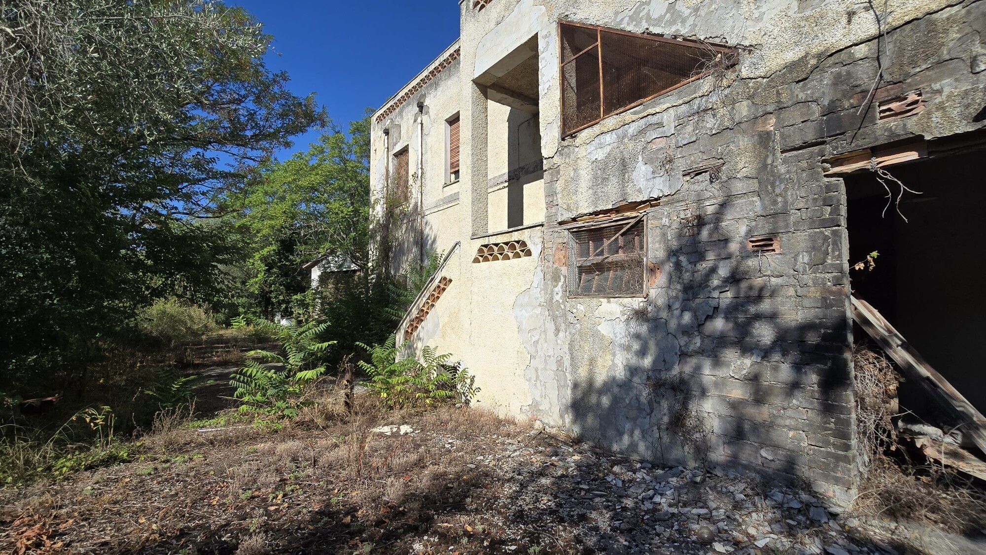 WhatsApp Image 2024-08-21 at 15.11.31 (5)