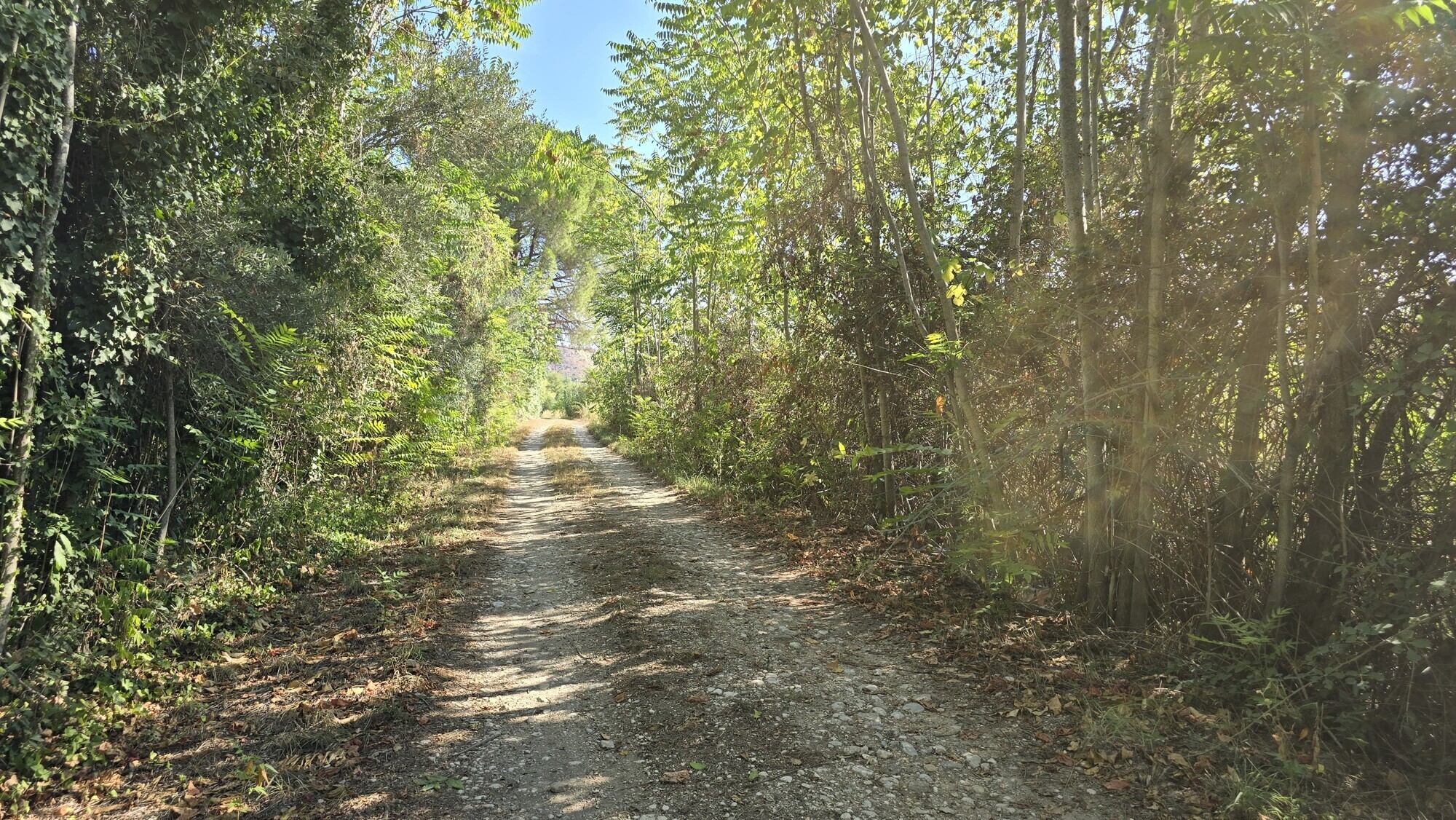 WhatsApp Image 2024-08-21 at 15.11.33 (3)