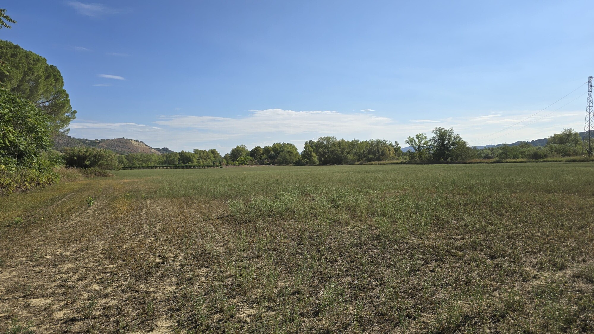 WhatsApp Image 2024-08-21 at 15.11.33 (5)