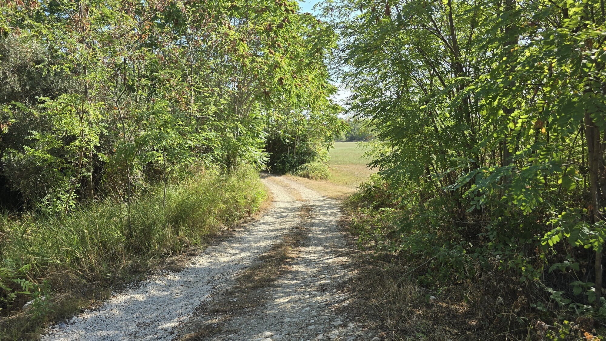 WhatsApp Image 2024-08-21 at 15.11.34