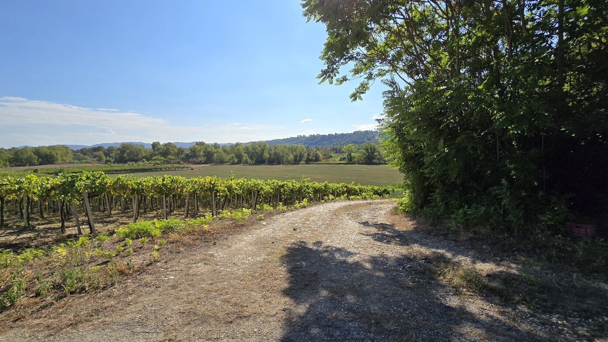 WhatsApp Image 2024-08-21 at 15.11.31 (2)