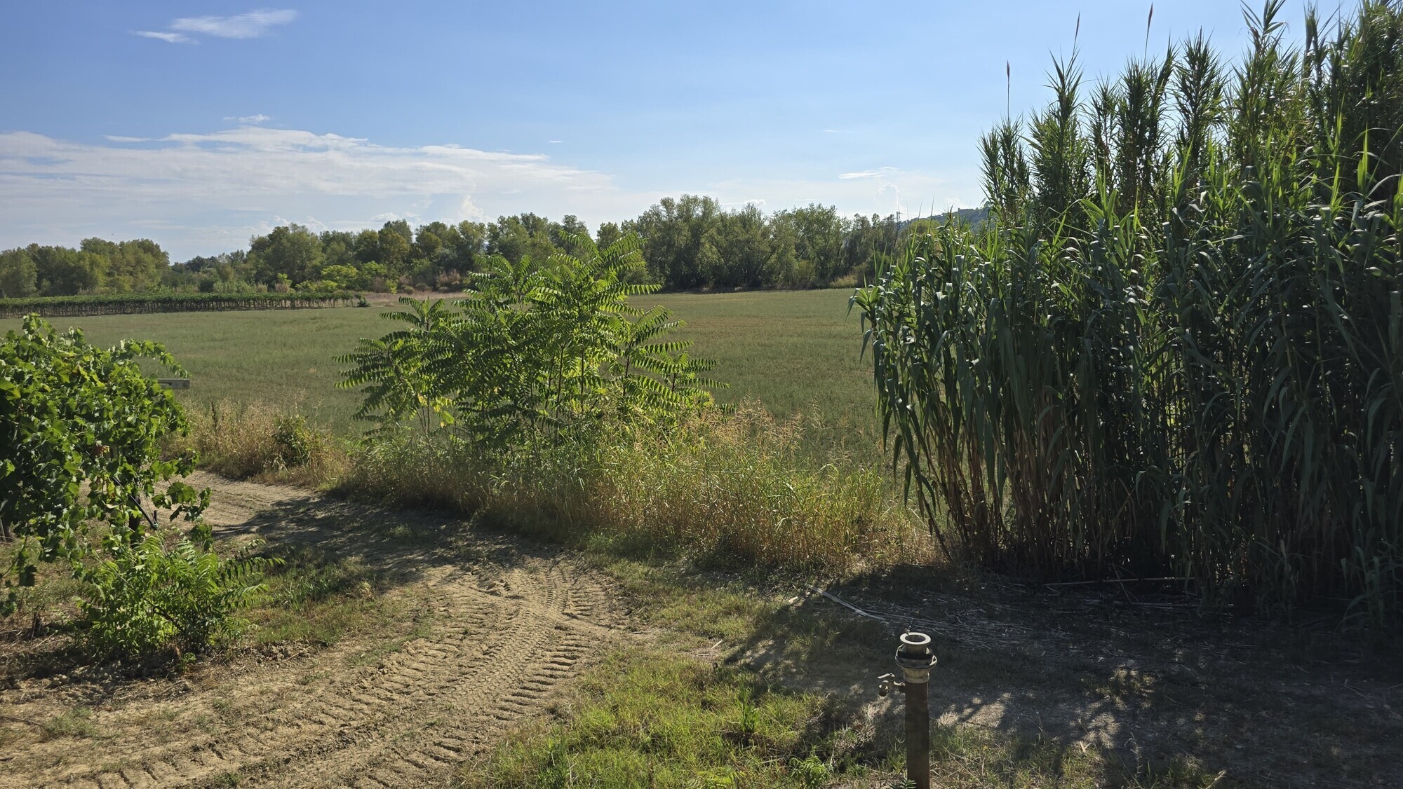 WhatsApp Image 2024-08-21 at 15.11.29 (1)