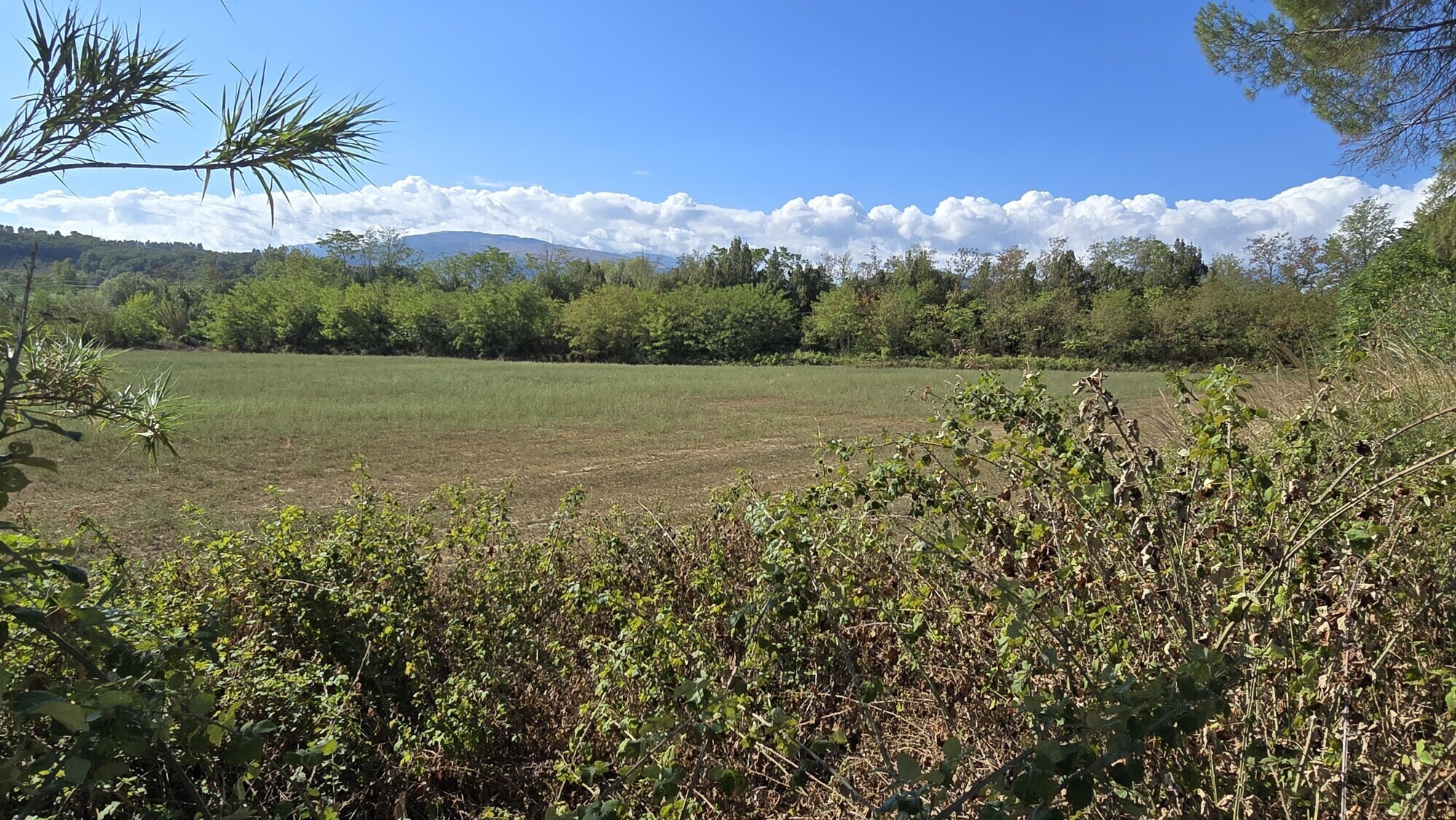 WhatsApp Image 2024-08-21 at 15.11.29