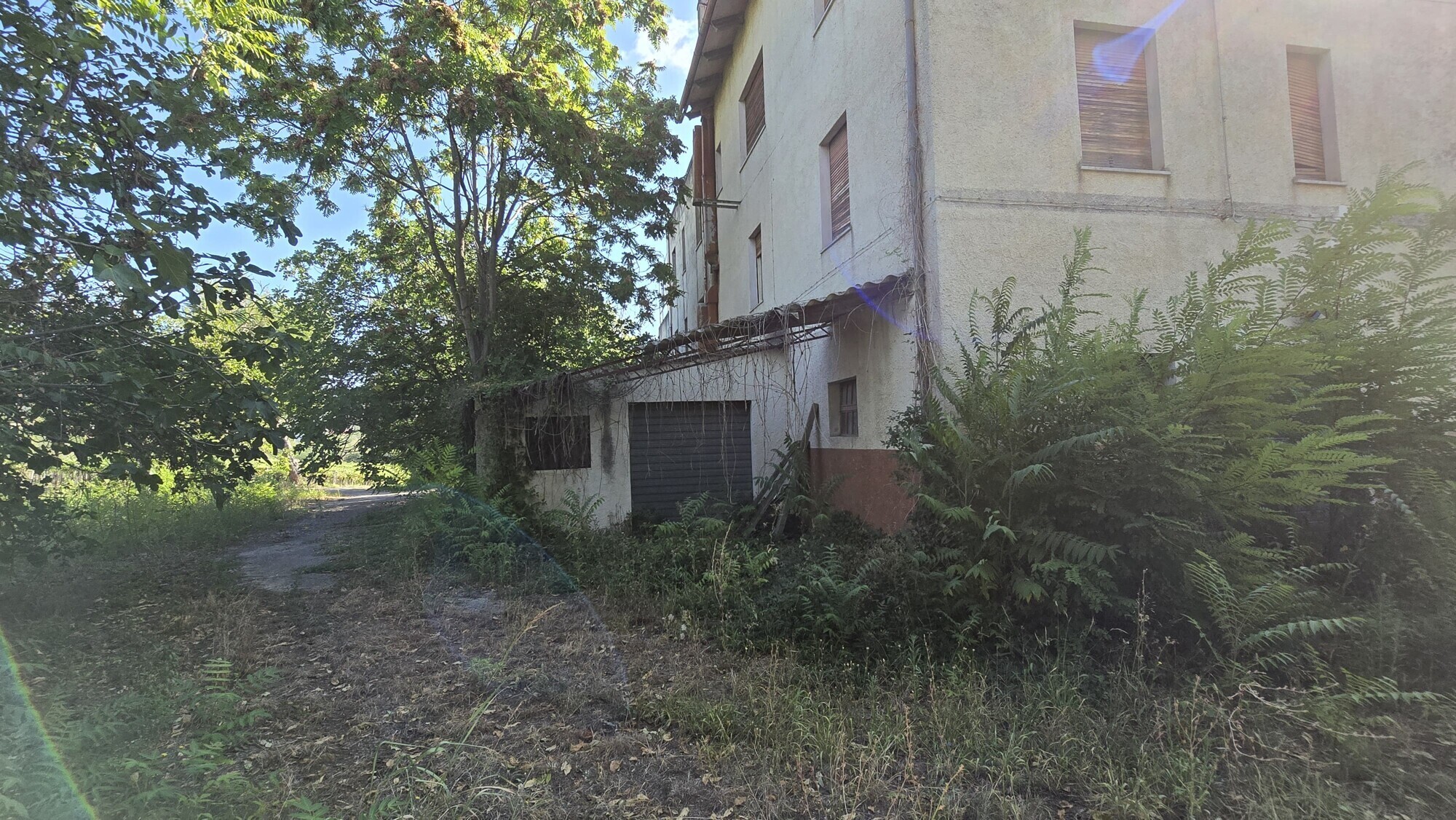 WhatsApp Image 2024-08-21 at 15.11.30 (4)