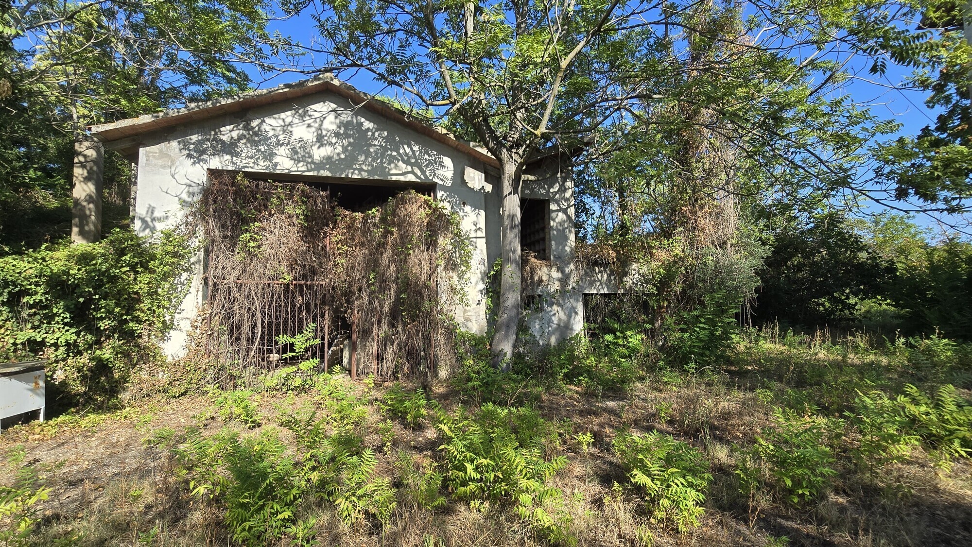 WhatsApp Image 2024-08-21 at 15.11.30 (2)