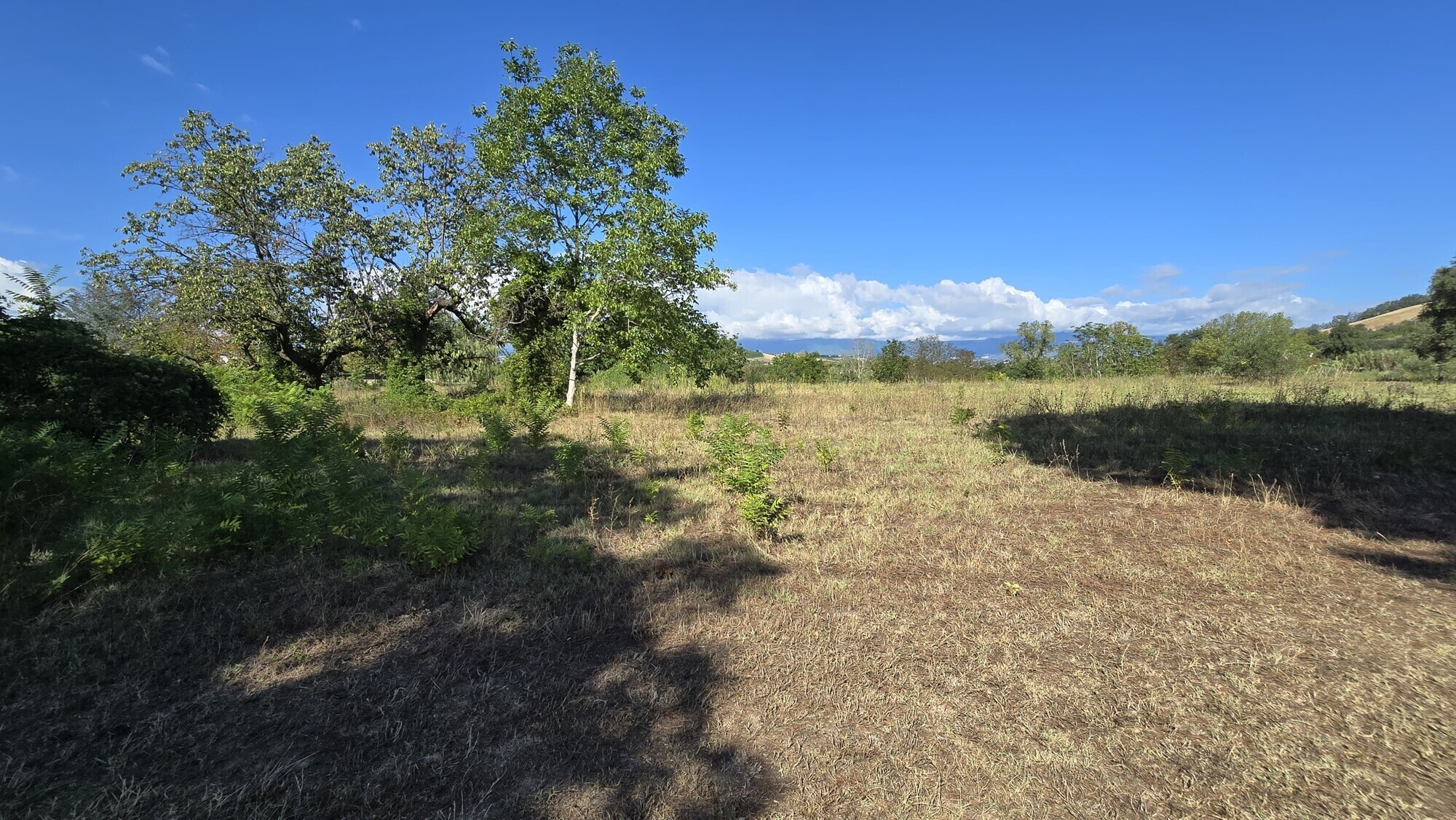 WhatsApp Image 2024-08-21 at 15.11.31 (1)