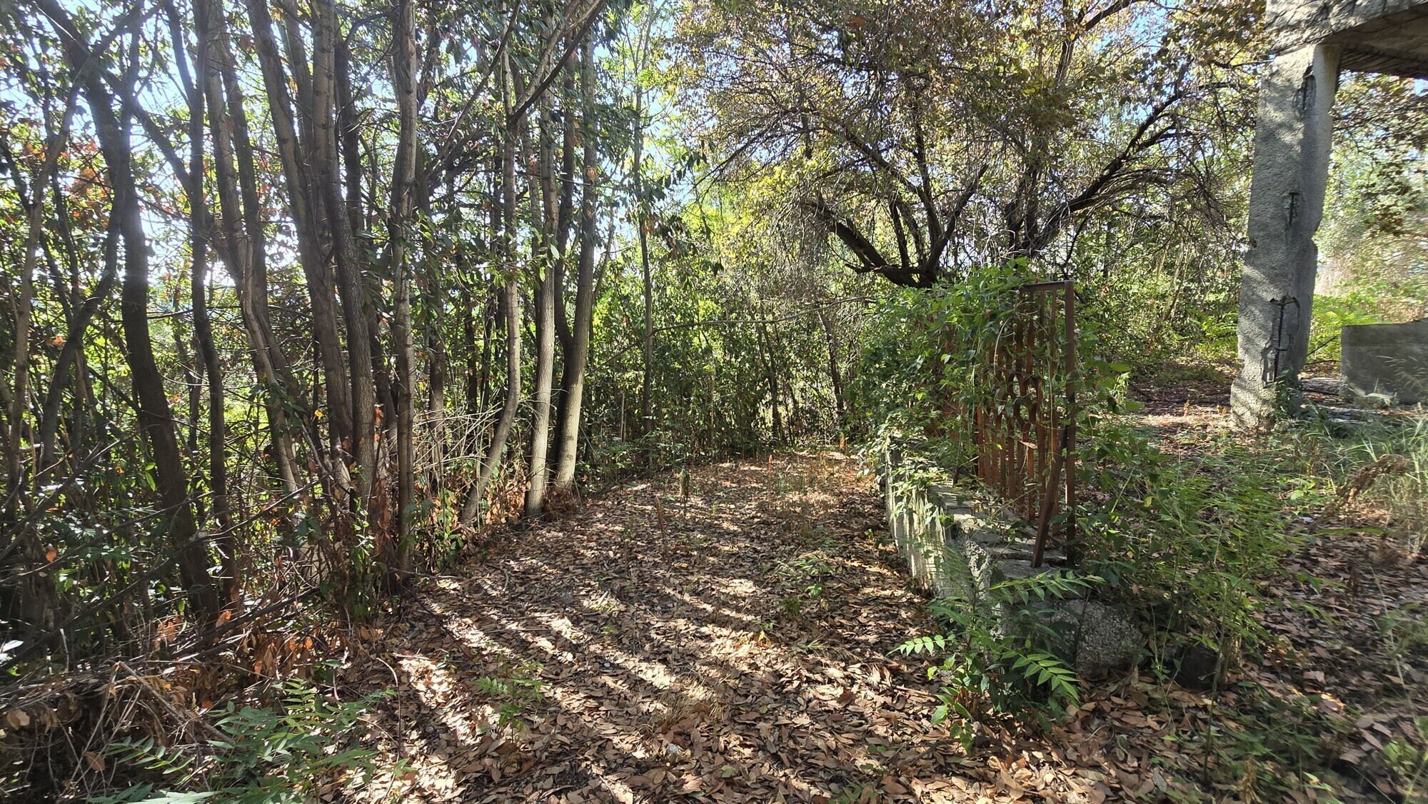 WhatsApp Image 2024-08-21 at 15.11.31 (4)