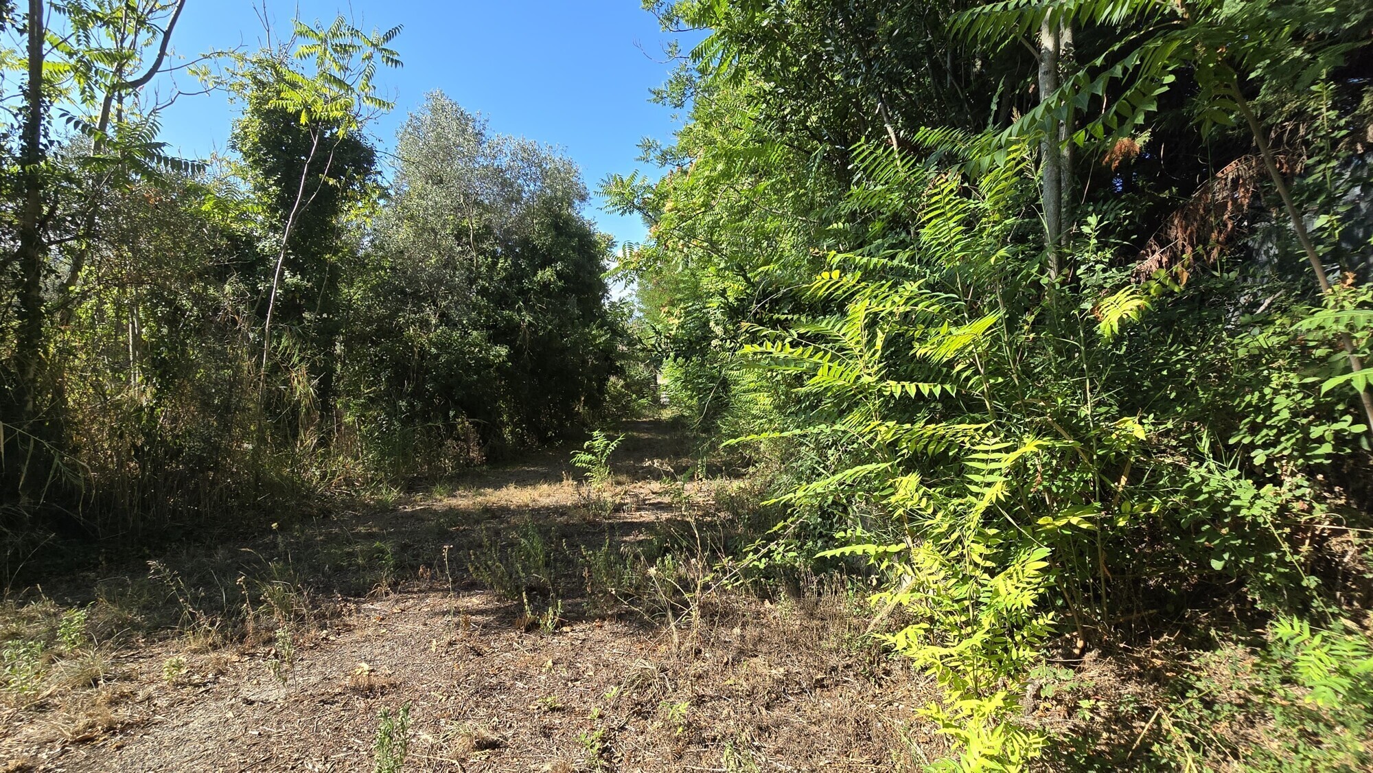 WhatsApp Image 2024-08-21 at 15.11.30