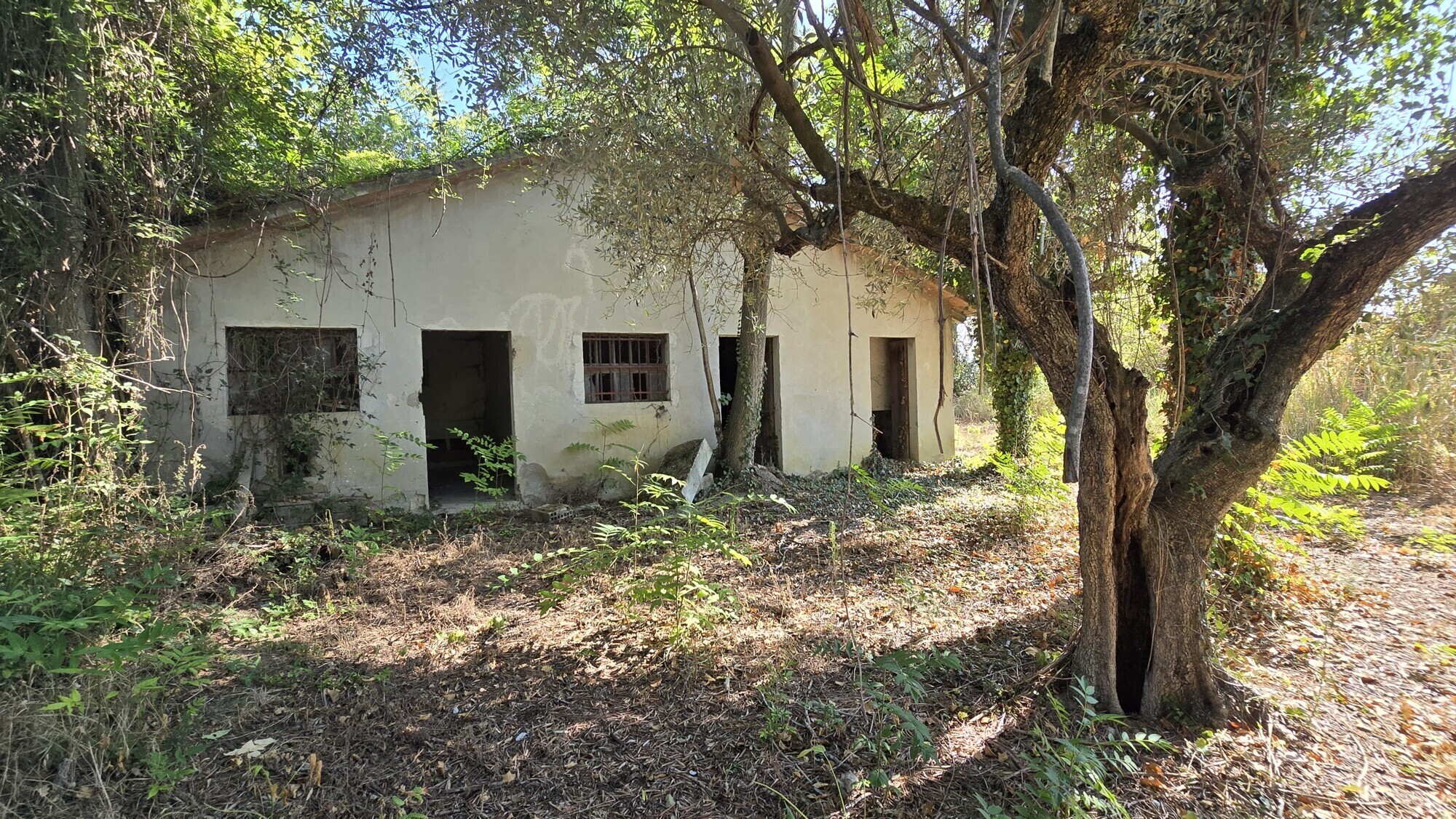 WhatsApp Image 2024-08-21 at 15.11.30 (1)