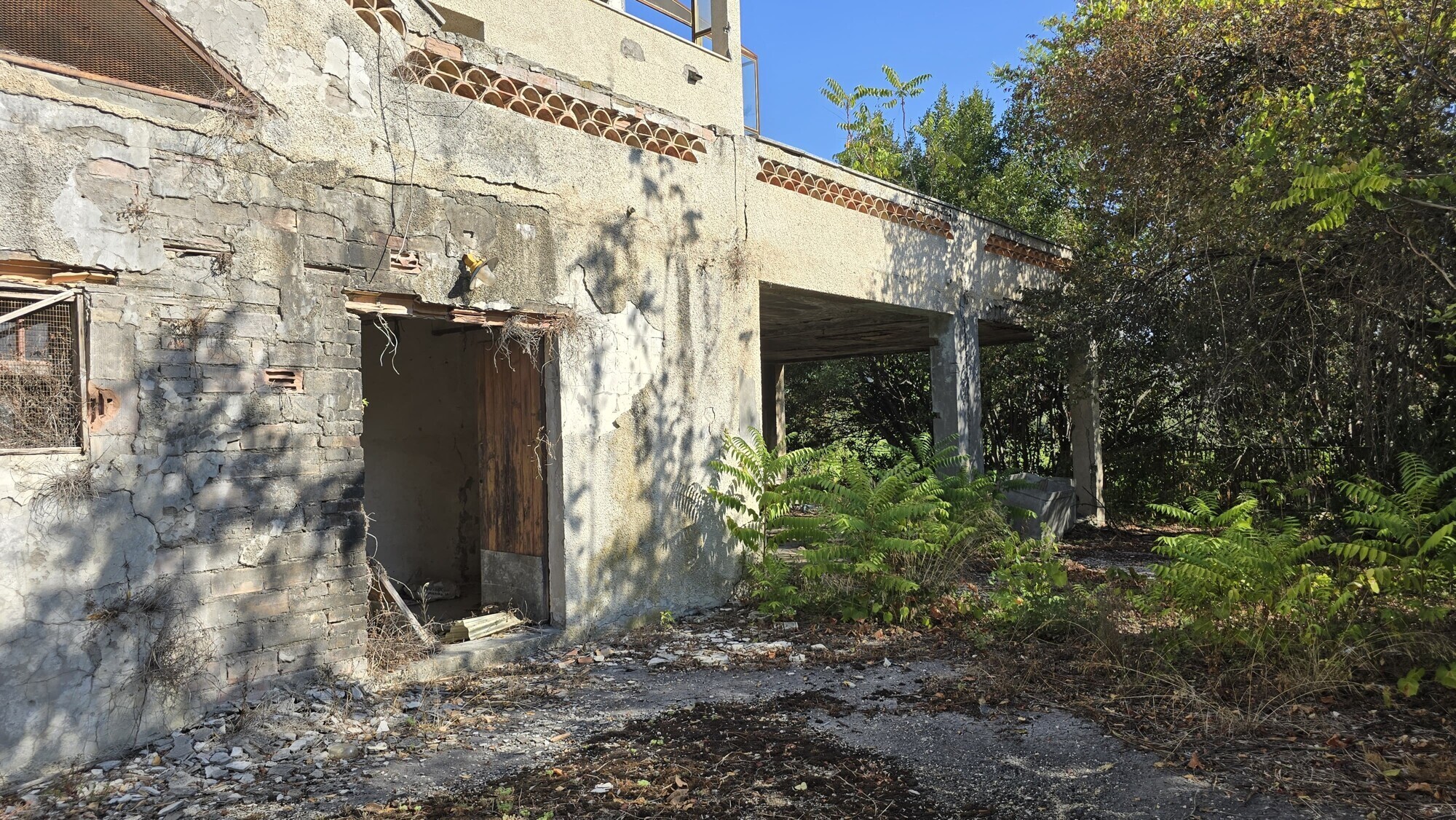 WhatsApp Image 2024-08-21 at 15.11.33