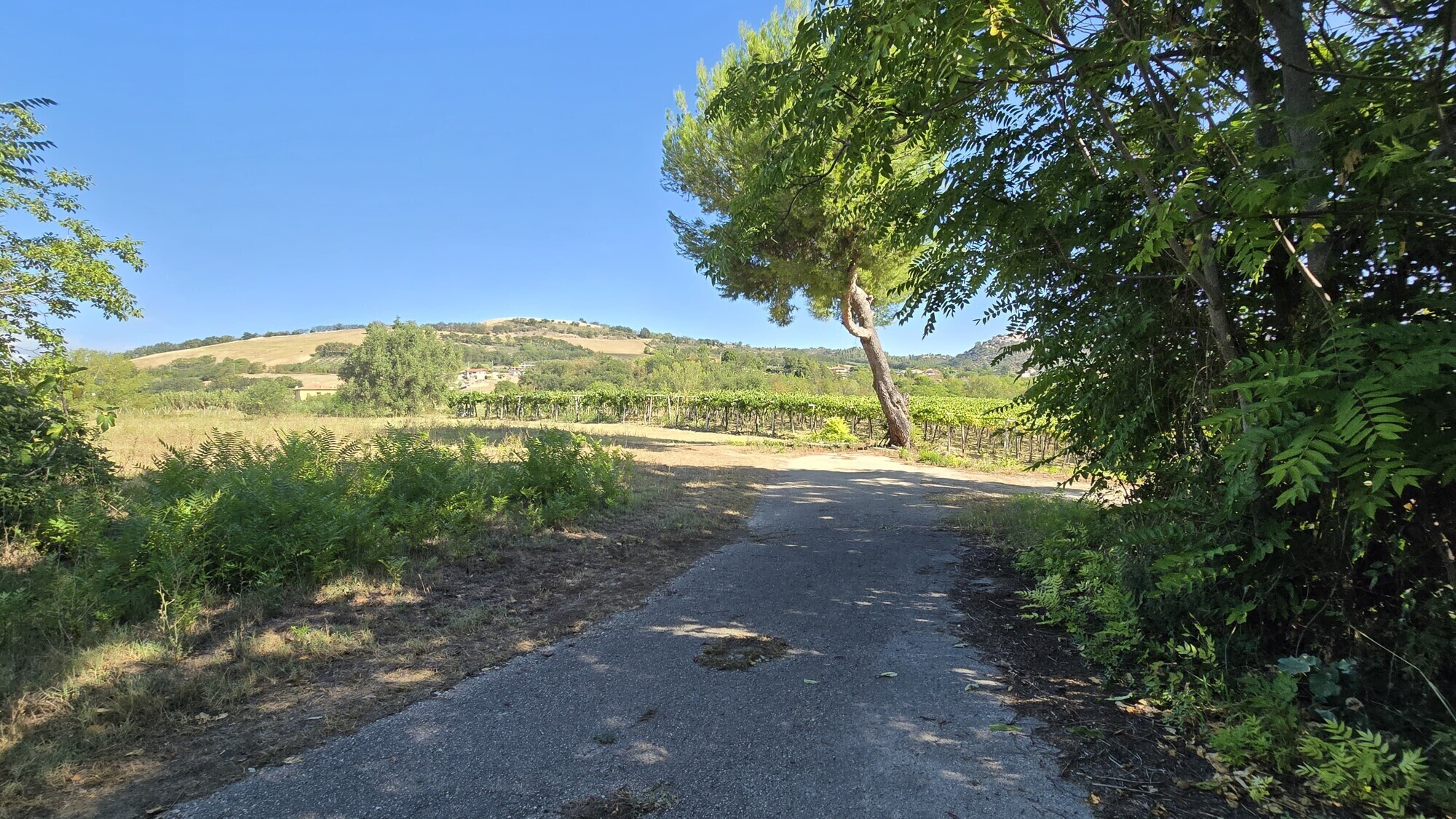 WhatsApp Image 2024-08-21 at 15.11.31 (3)