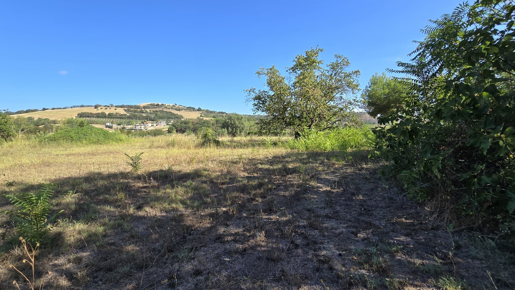 WhatsApp Image 2024-08-21 at 15.11.29 (2)