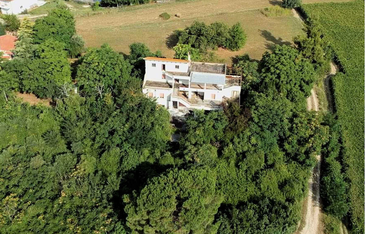 WhatsApp Image 2024-08-27 at 10.40.27 (3)