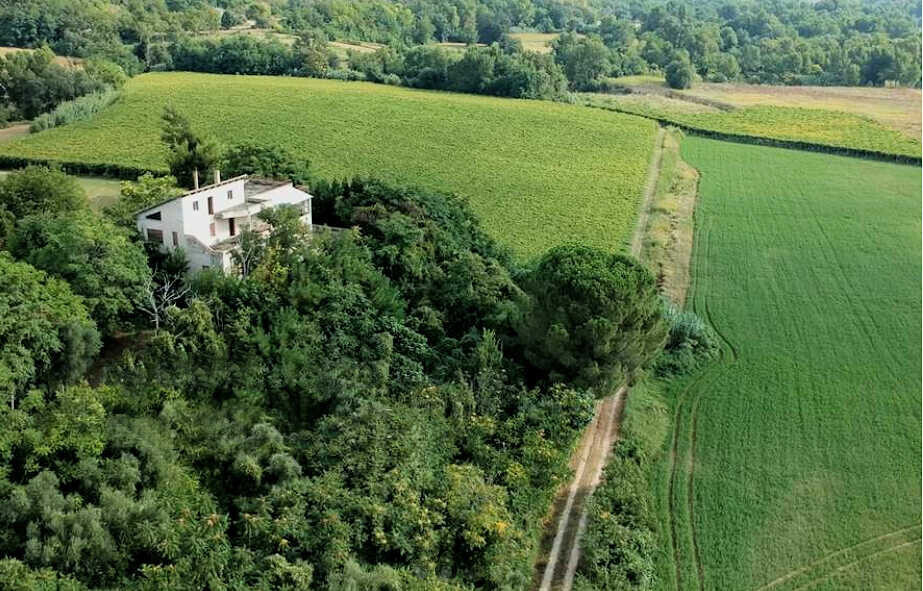 WhatsApp Image 2024-08-27 at 10.40.28