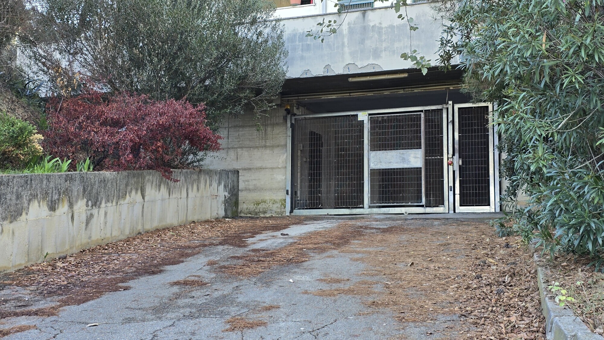 Immagine della proprietà