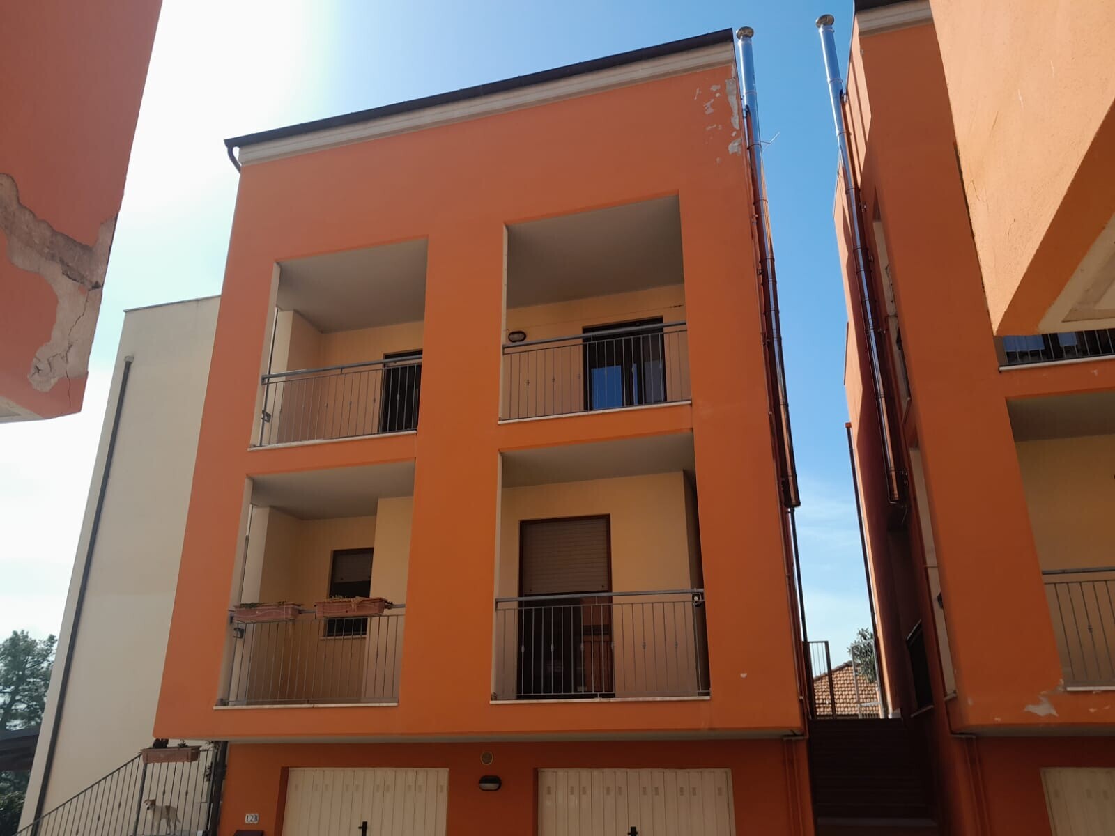 WhatsApp Image 2025-03-18 at 09.47.26