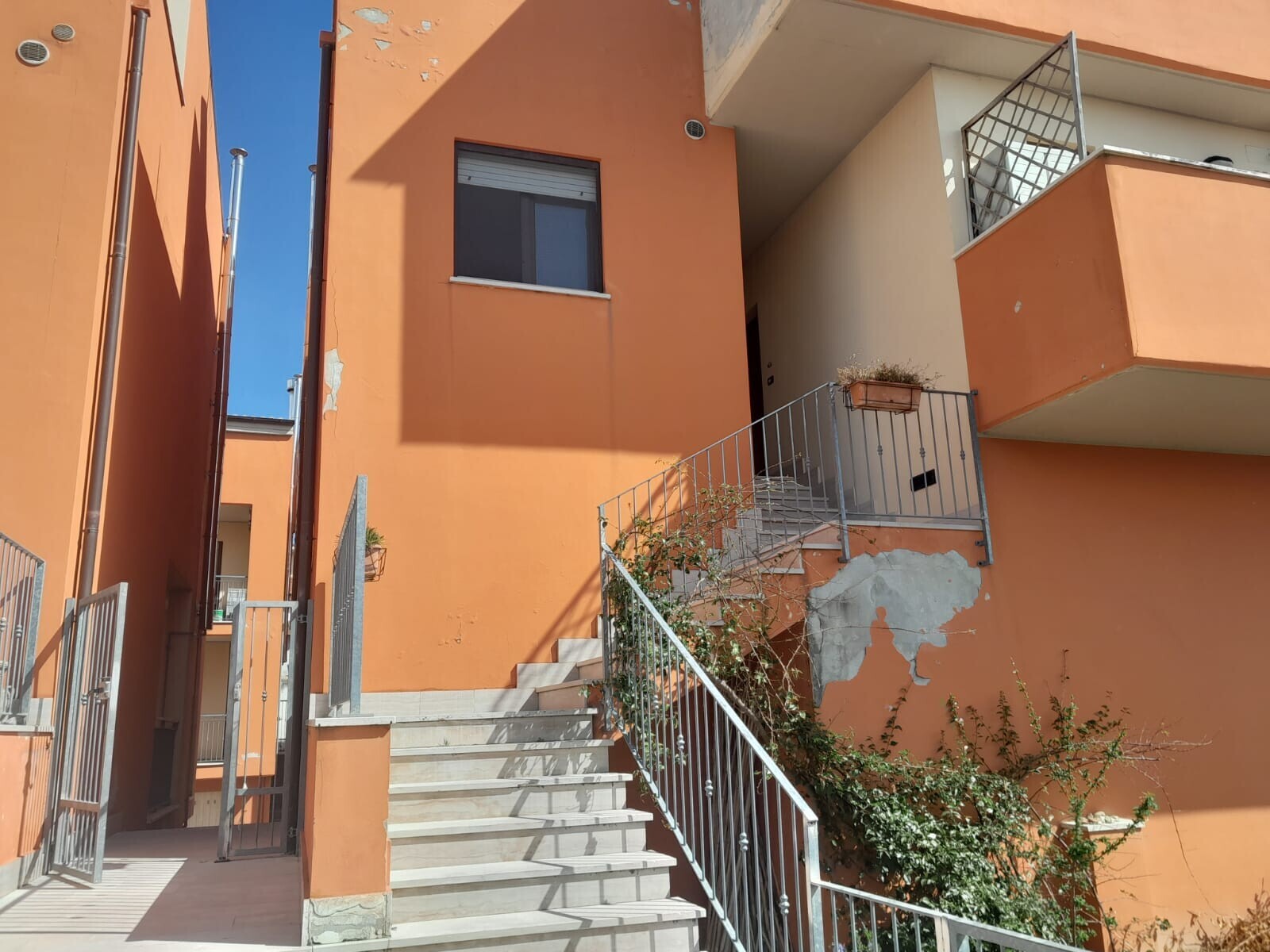 WhatsApp Image 2025-03-18 at 09.47.22