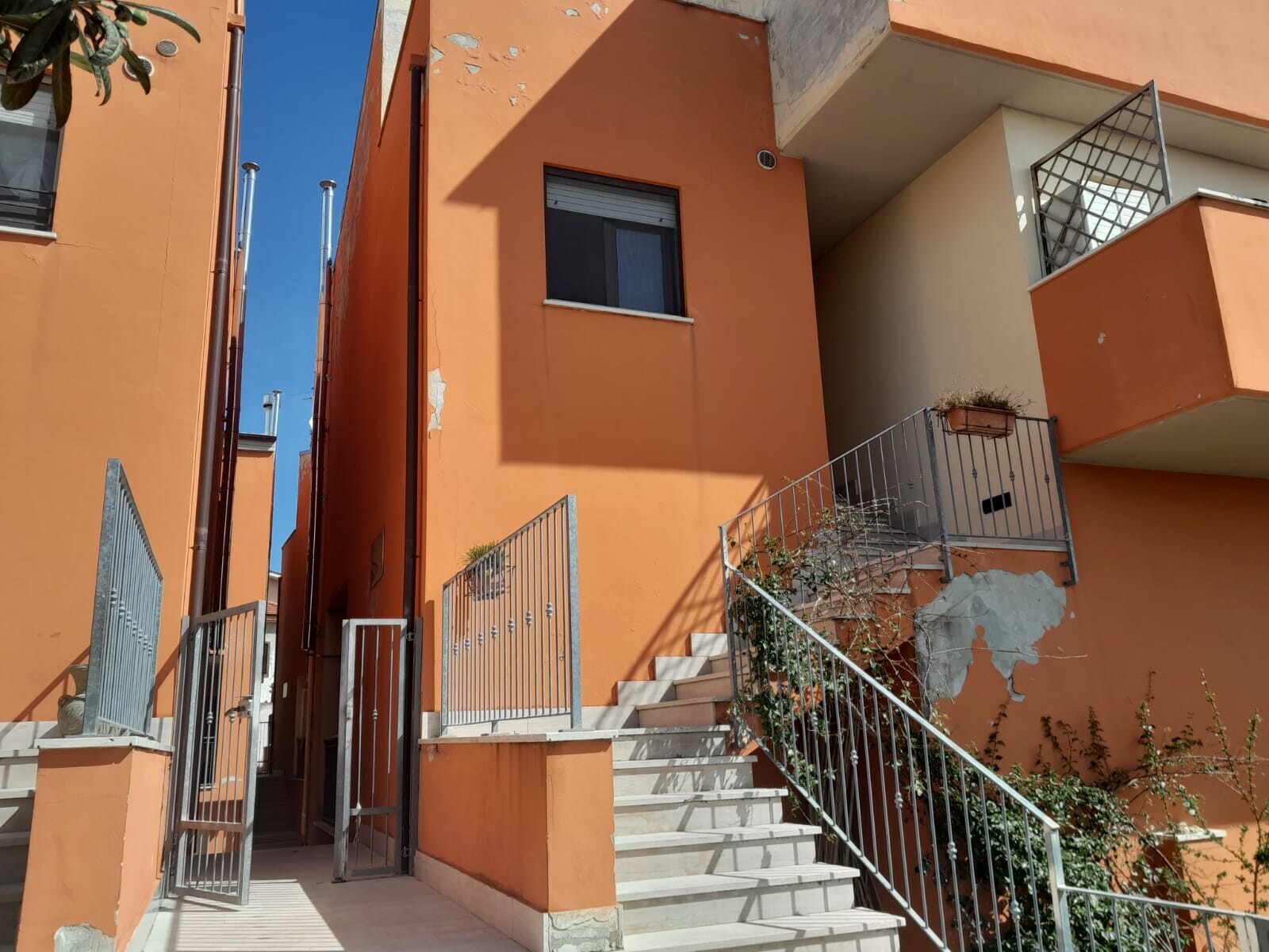 WhatsApp Image 2025-03-18 at 09.47.26 (1)