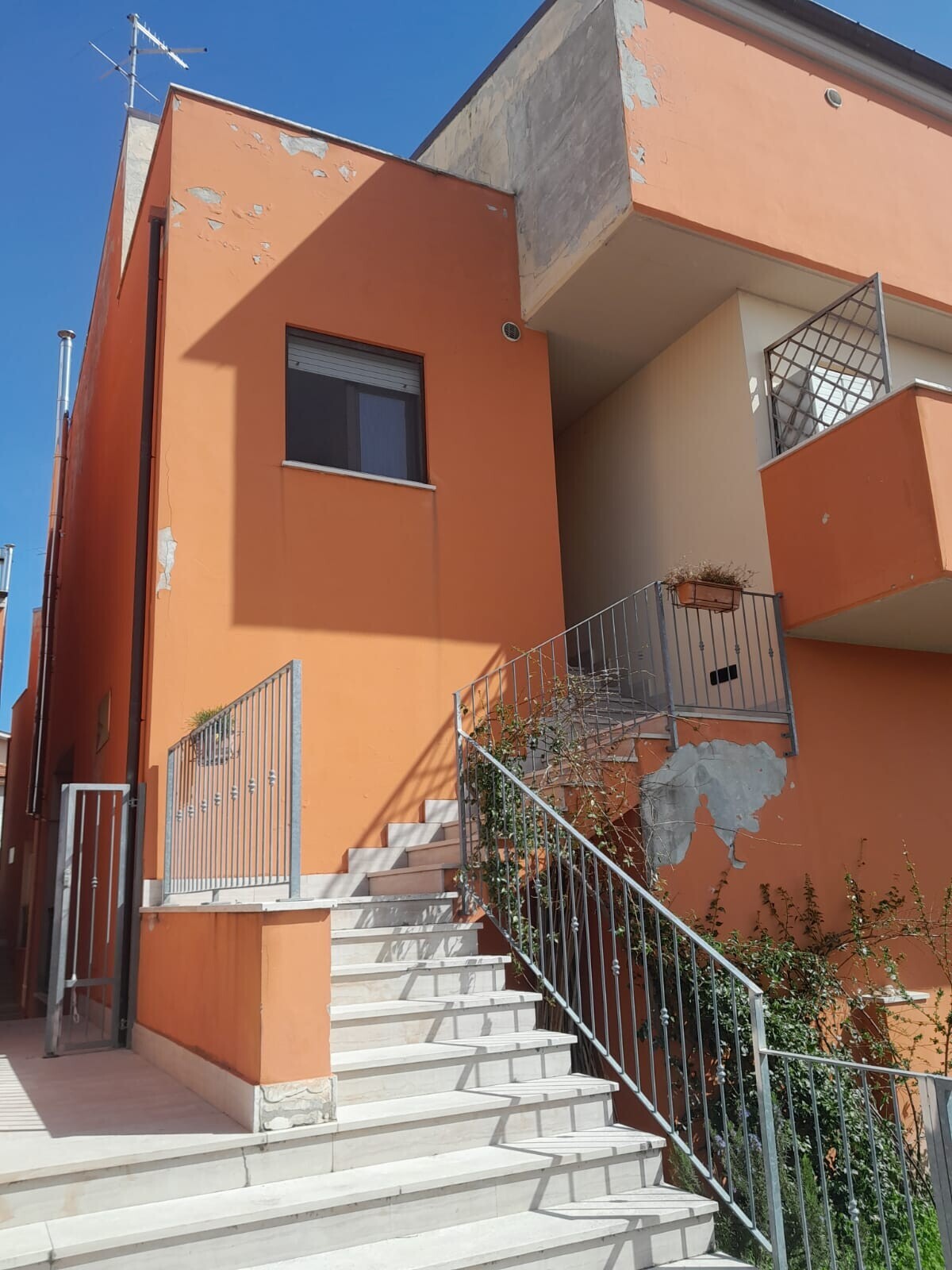 WhatsApp Image 2025-03-18 at 09.47.27