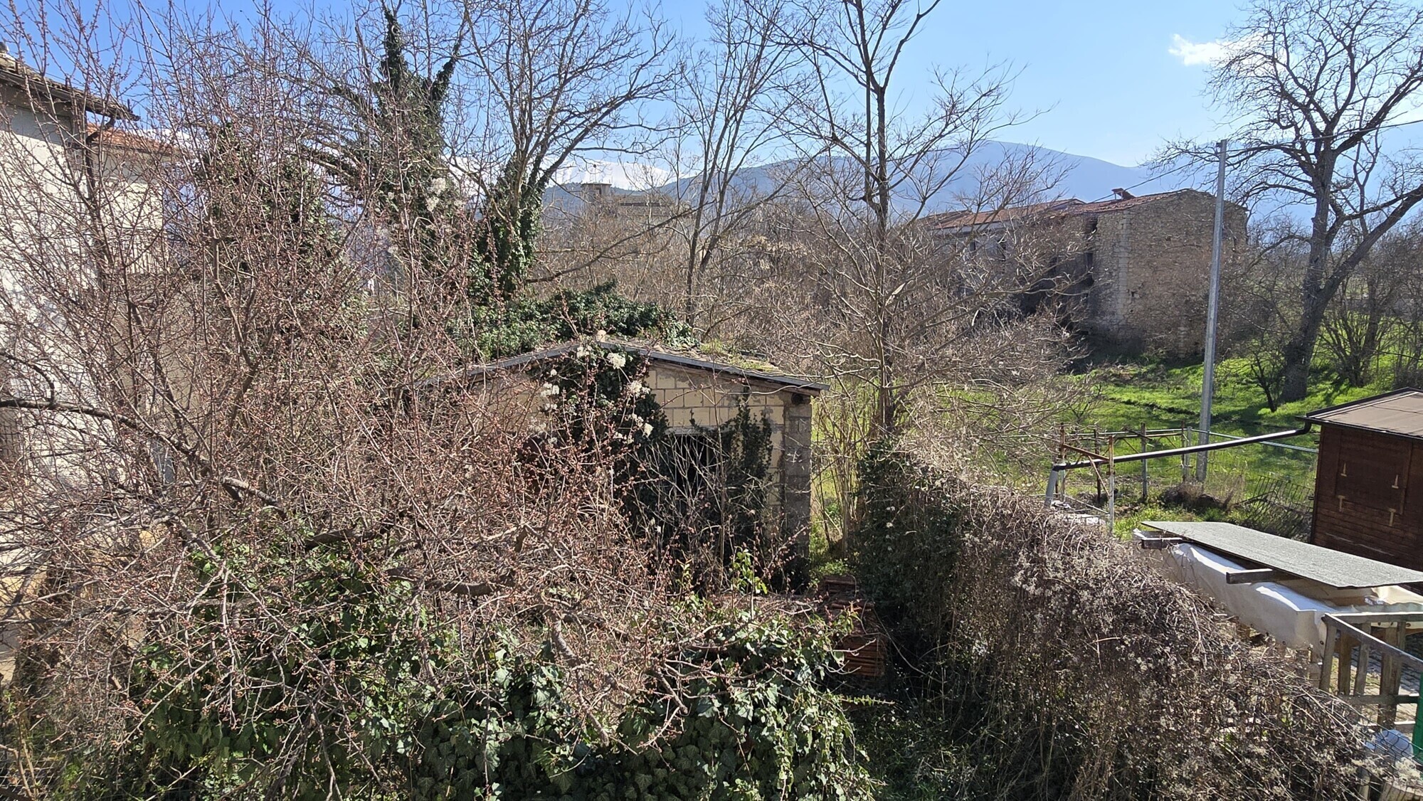 WhatsApp Image 2025-03-07 at 19.54.19 (1)