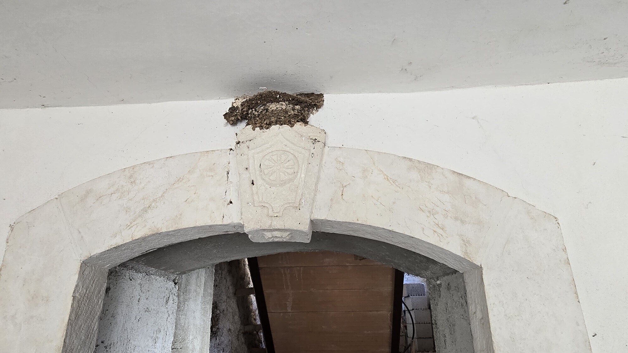 WhatsApp Image 2025-03-07 at 19.54.18 (2)