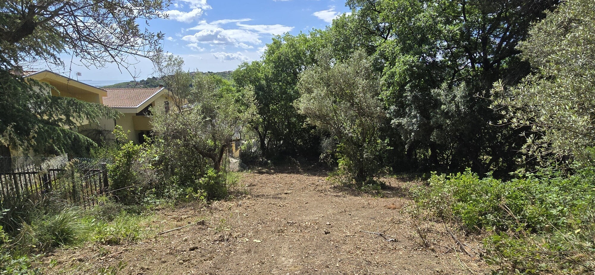 WhatsApp Image 2025-05-22 at 17.24.44