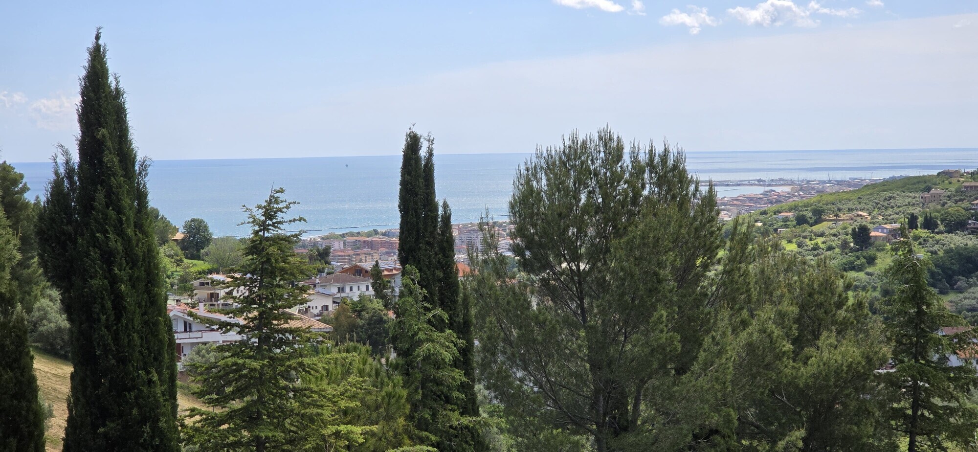 WhatsApp Image 2025-05-22 at 17.24.43 (5)