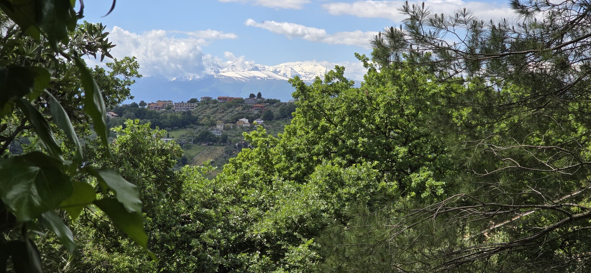 WhatsApp Image 2025-05-22 at 17.24.43 (1)