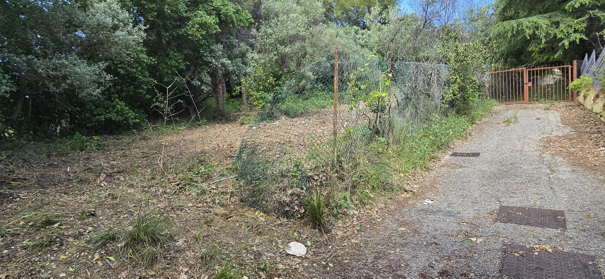 WhatsApp Image 2025-05-22 at 17.24.45