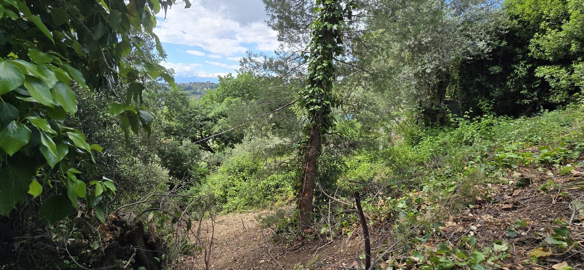 WhatsApp Image 2025-05-22 at 17.24.43 (4)