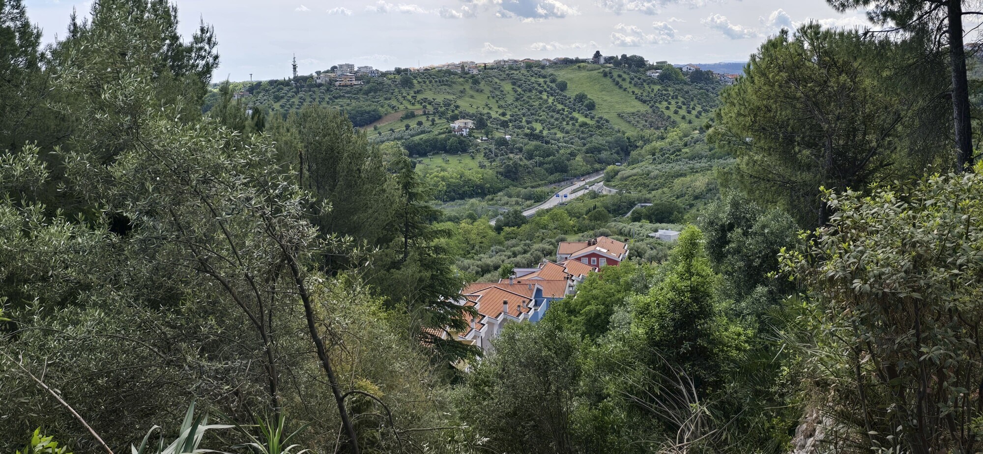 WhatsApp Image 2025-05-22 at 17.24.43