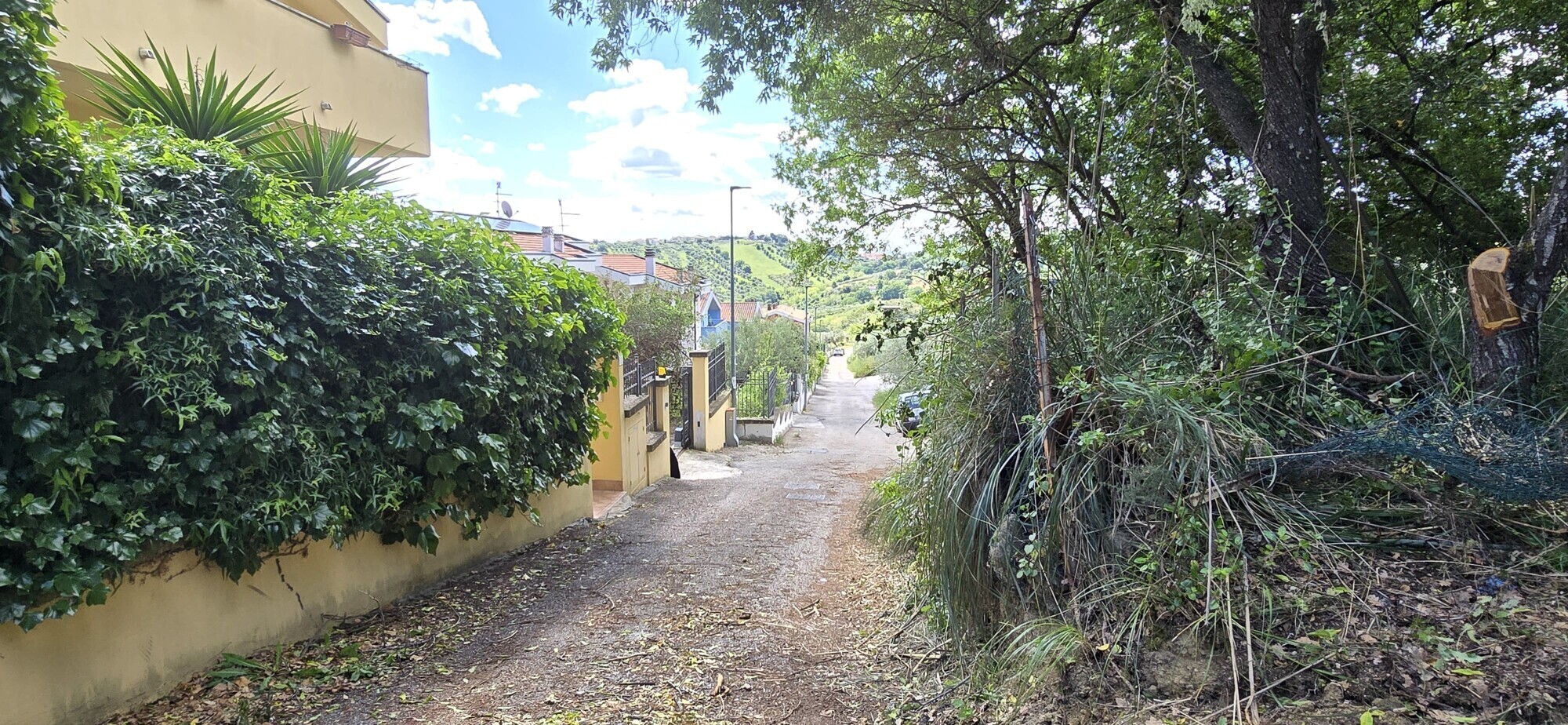 WhatsApp Image 2025-05-22 at 17.24.45 (1)