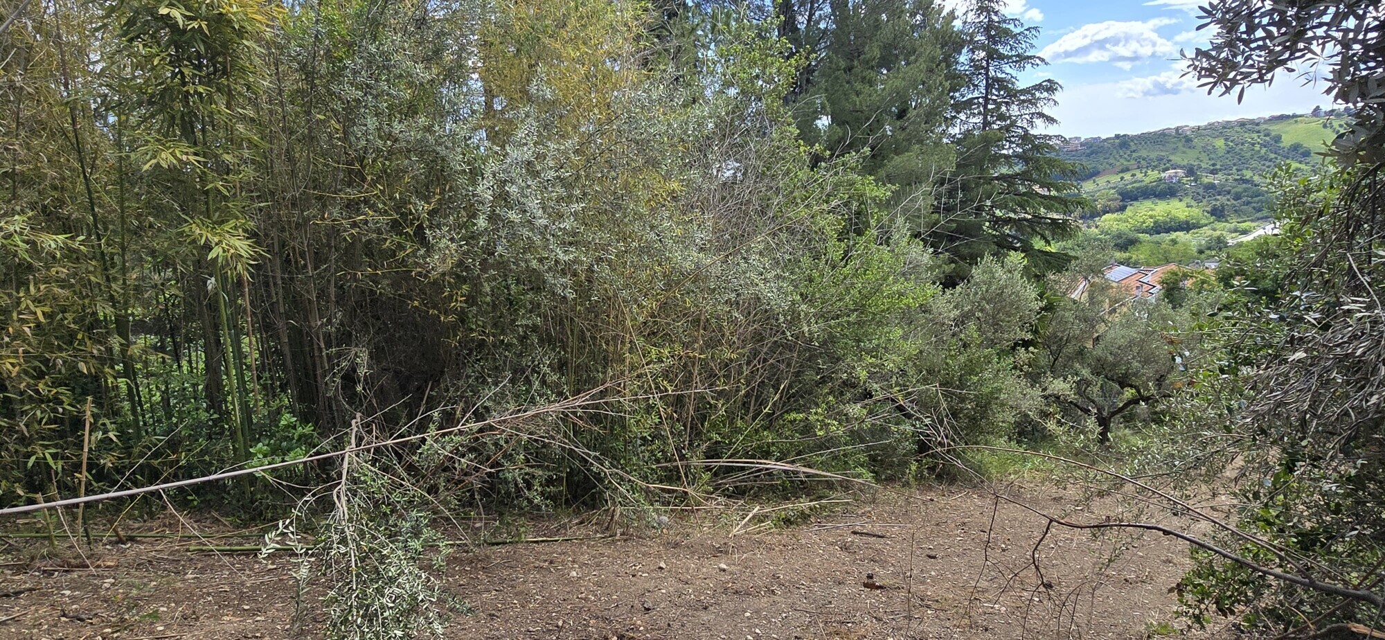 WhatsApp Image 2025-05-22 at 17.24.43 (6)