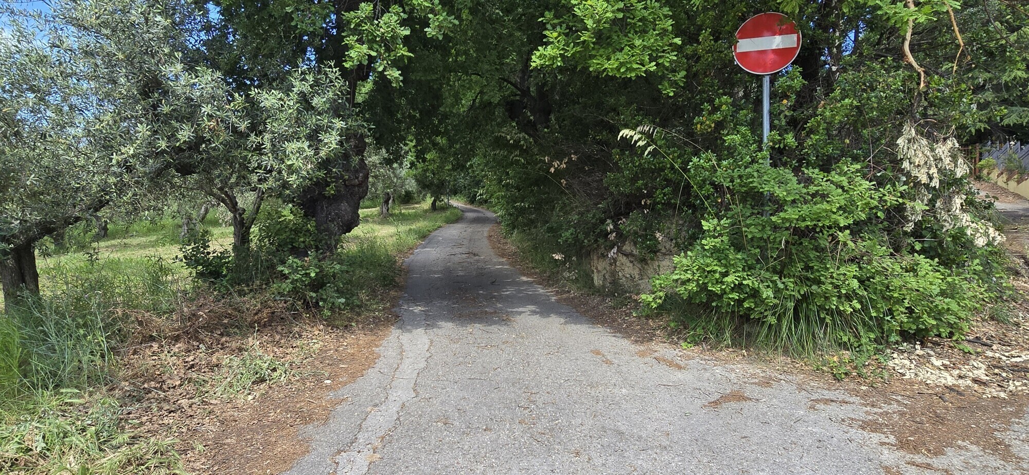 WhatsApp Image 2025-05-22 at 17.24.44 (2)