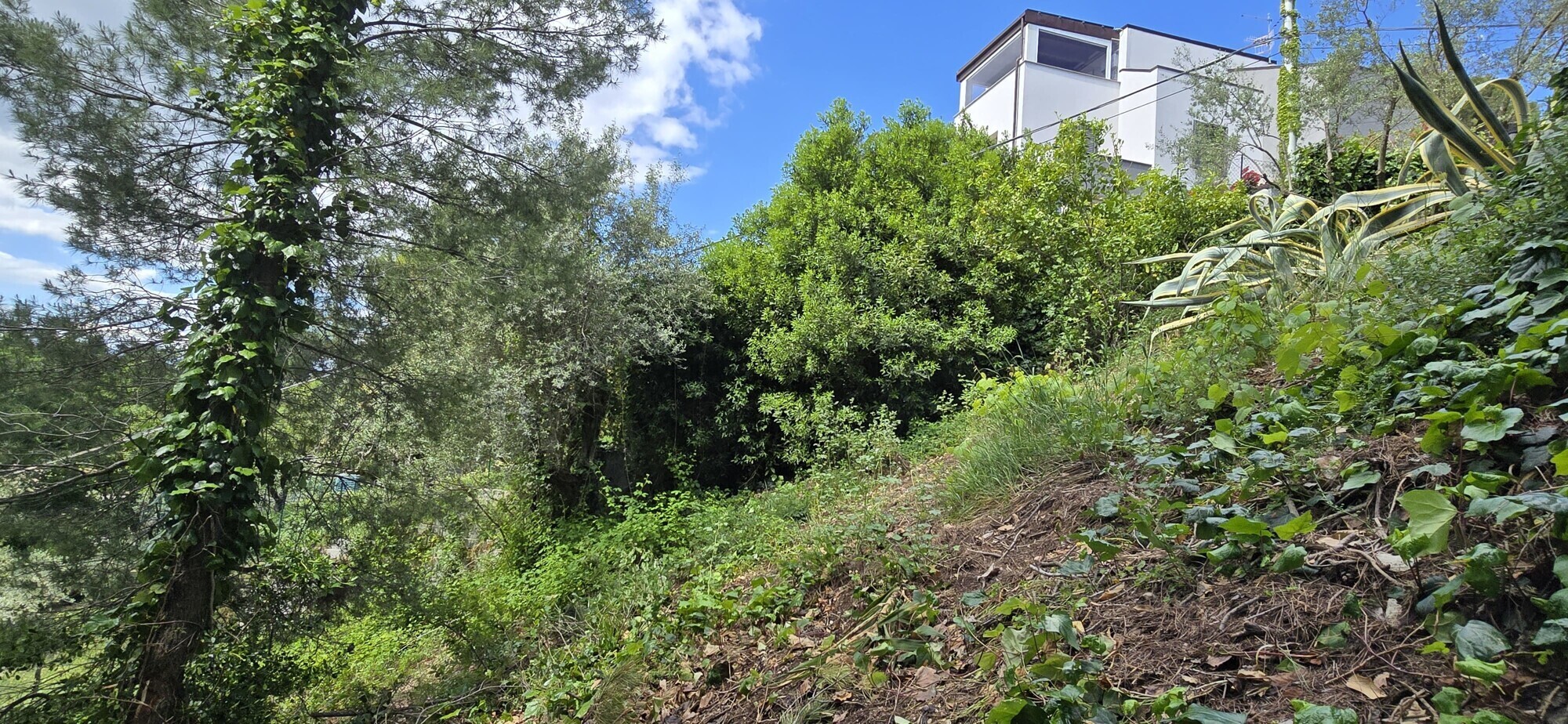 WhatsApp Image 2025-05-22 at 17.24.43 (3)