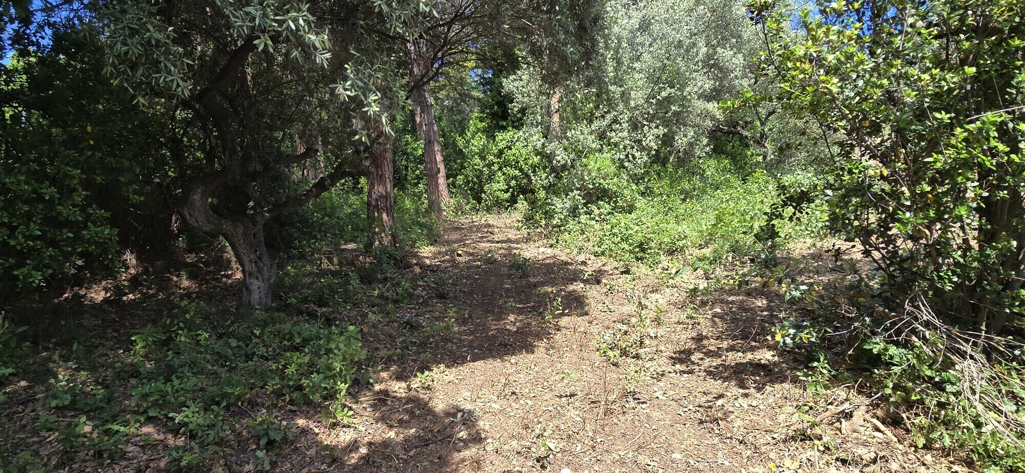 WhatsApp Image 2025-05-22 at 17.24.44 (1)