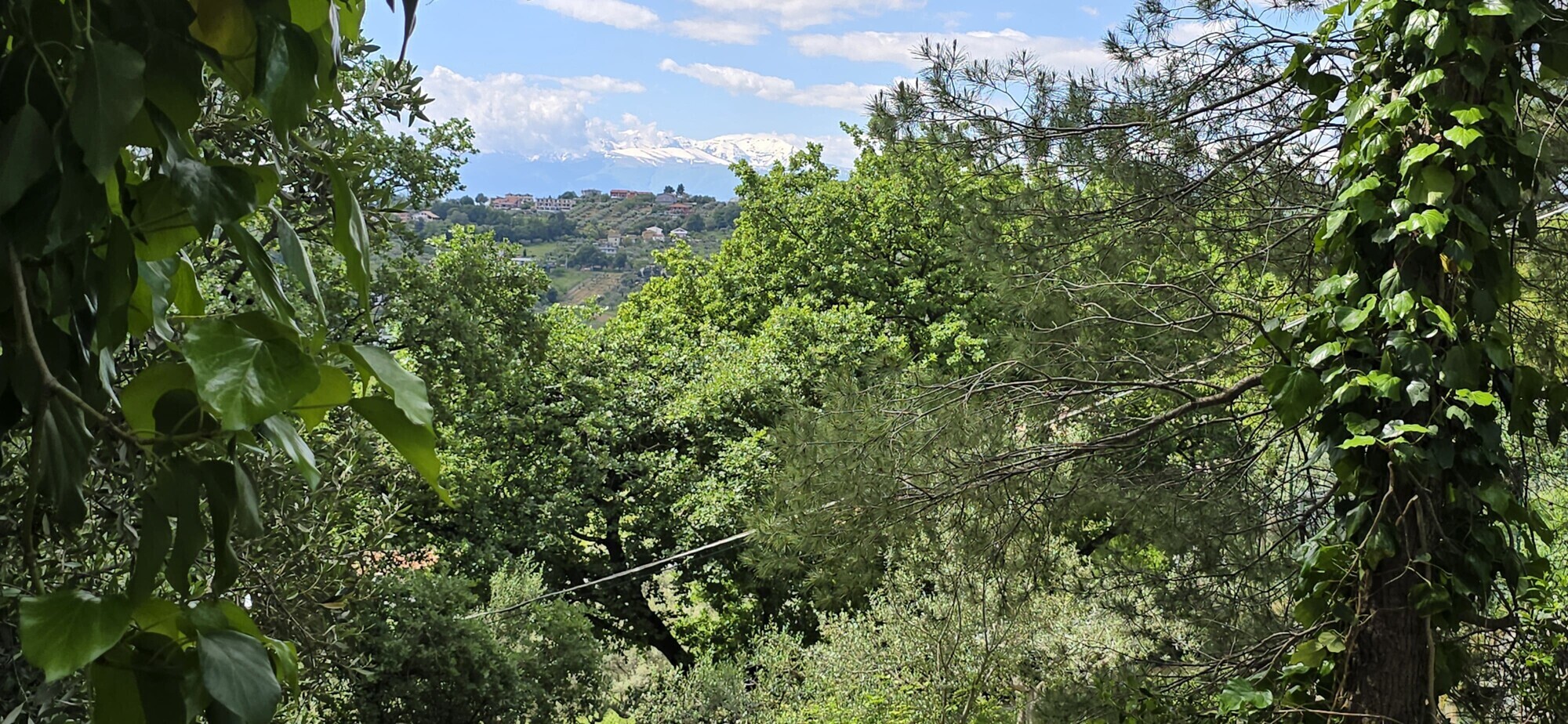 WhatsApp Image 2025-05-22 at 17.24.43 (2)