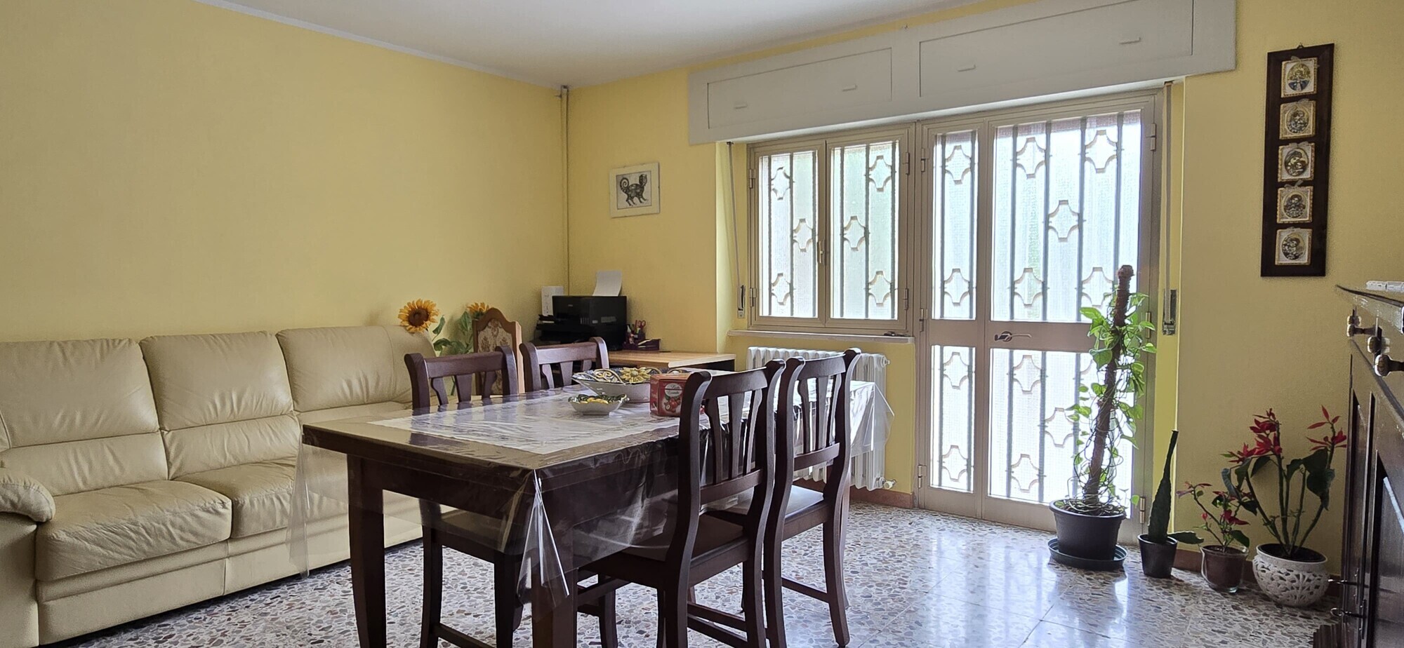 WhatsApp Image 2025-05-30 at 09.40.17 (1)