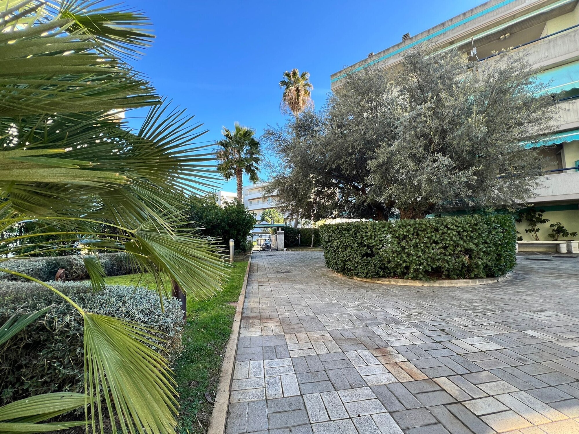 WhatsApp Image 2026-01-14 at 15.22.11 (1)