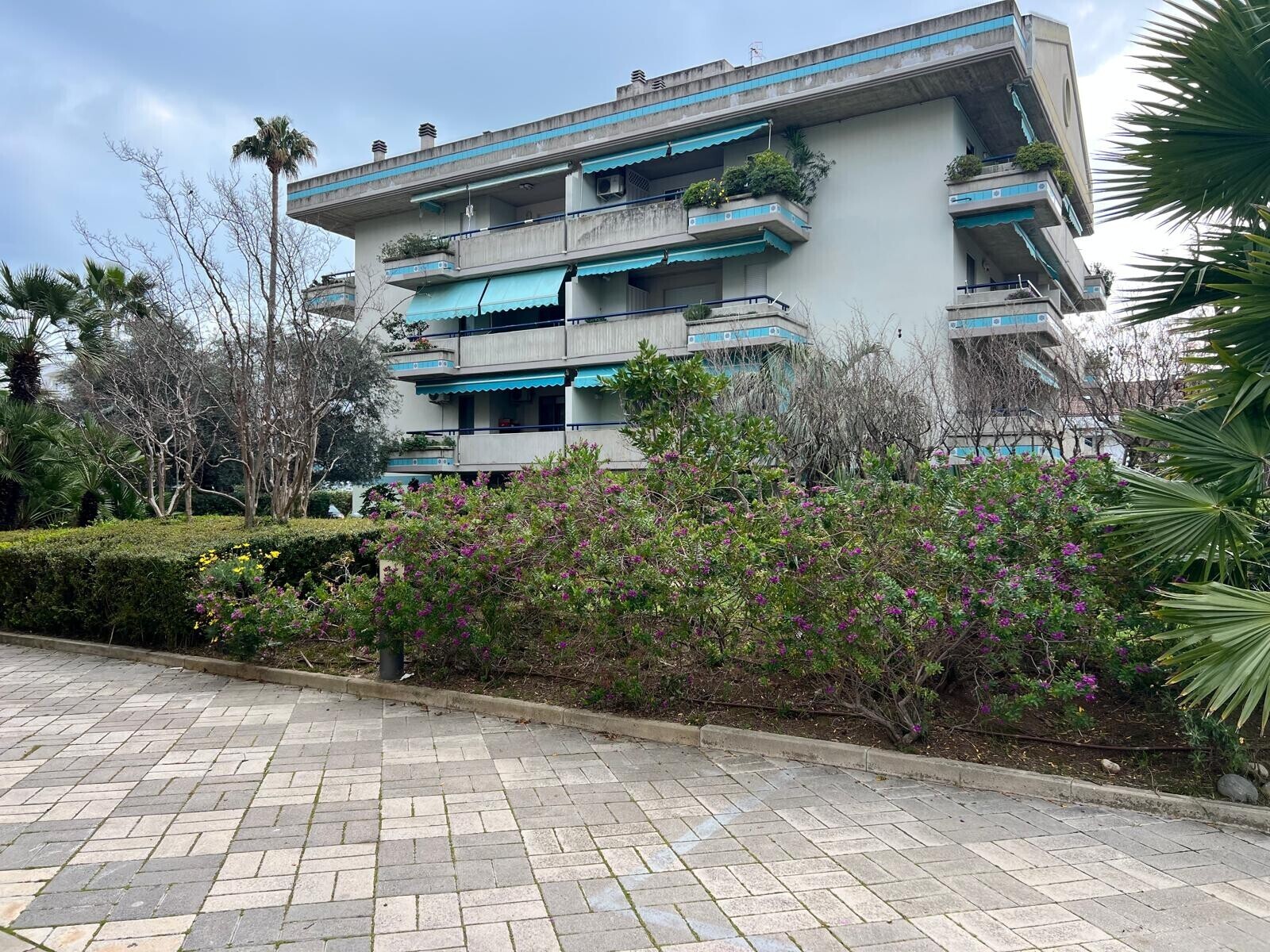 WhatsApp Image 2026-03-24 at 09.11.05 (11)