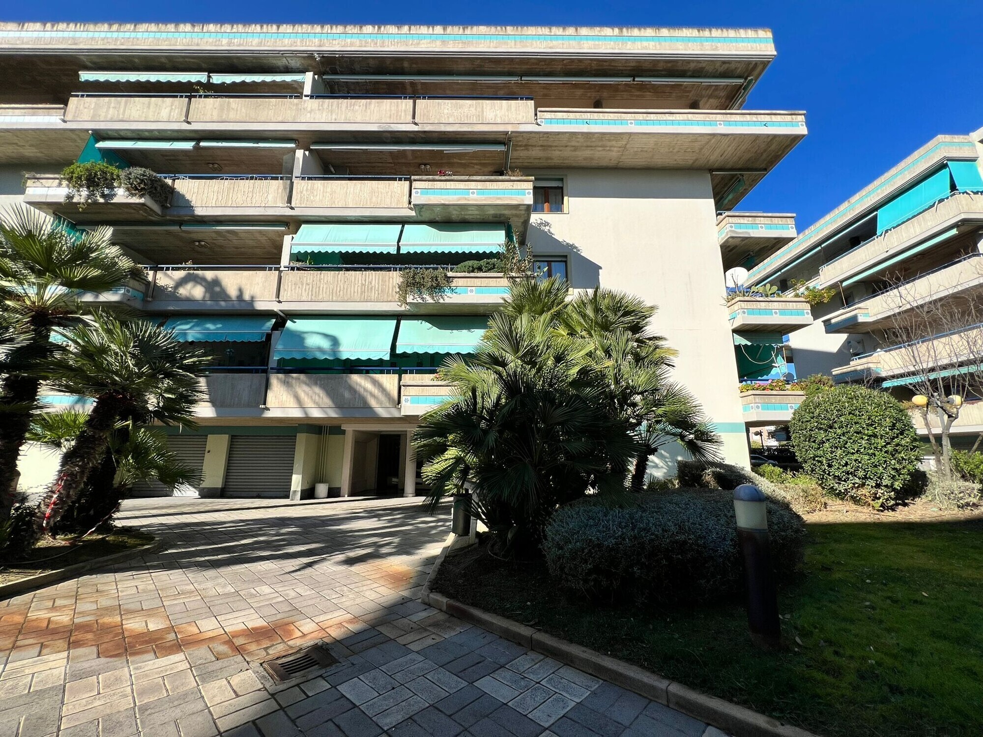 WhatsApp Image 2026-01-14 at 15.22.11