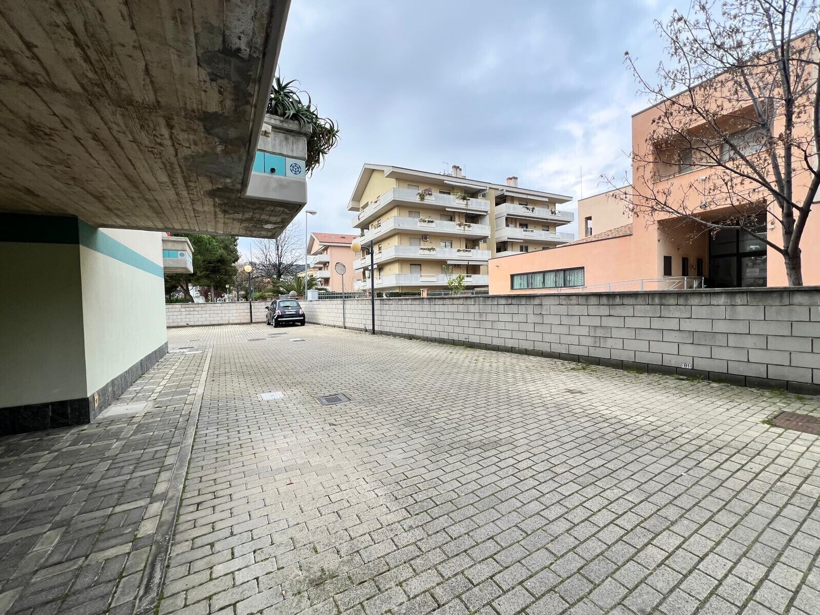 WhatsApp Image 2026-03-24 at 09.11.05 (1)