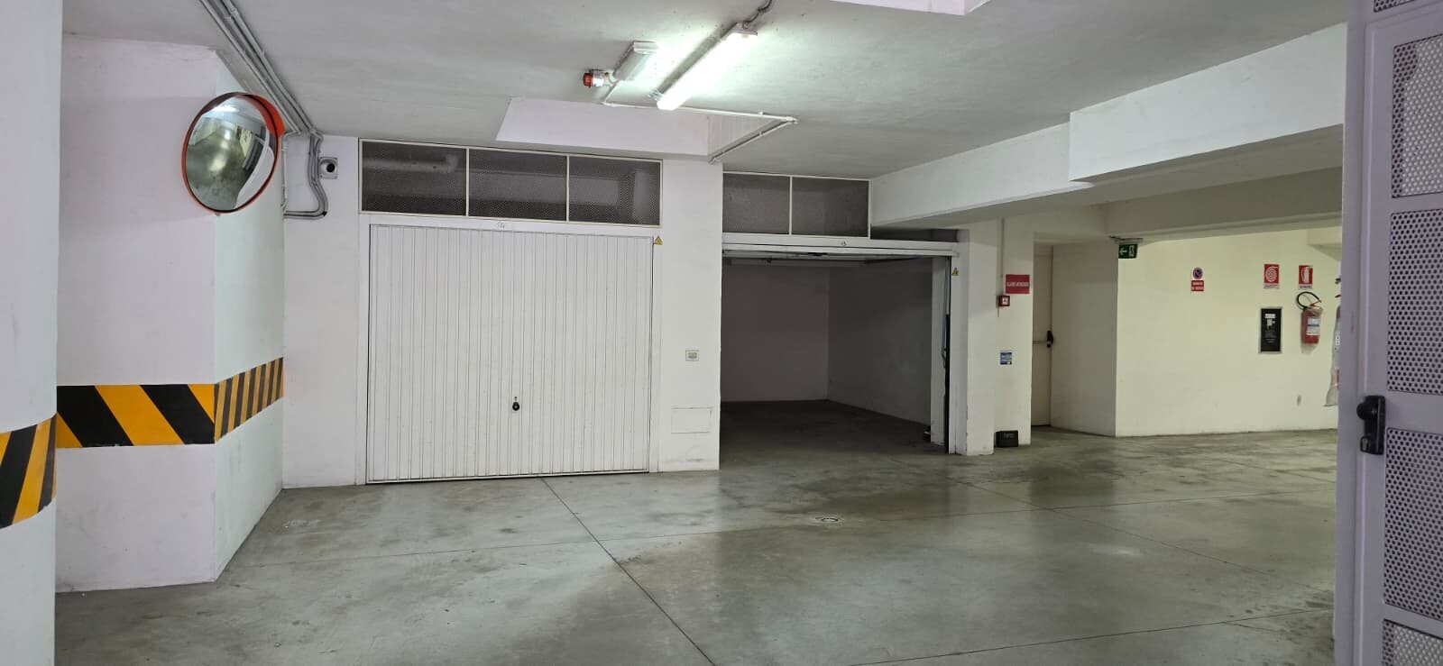 WhatsApp Image 2025-12-03 at 19.34.20 (1)