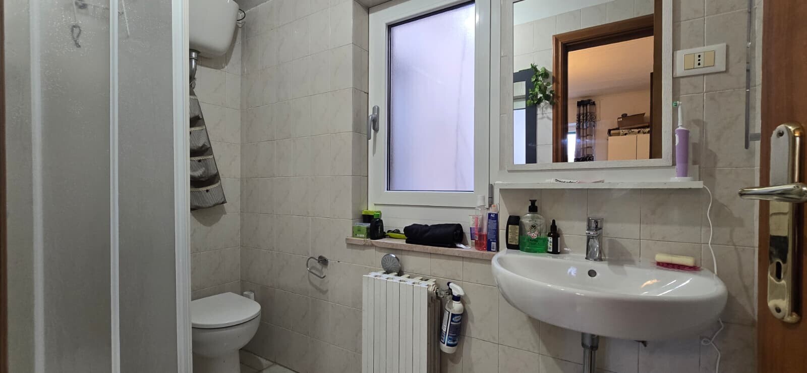 WhatsApp Image 2026-02-10 at 12.46.57 (10)